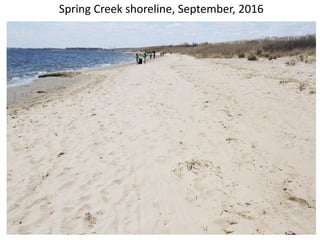 Spring Creek shoreline, 11-16-2016
 