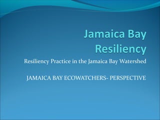 Resiliency Practice in the Jamaica Bay Watershed
JAMAICA BAY ECOWATCHERS- PERSPECTIVE
 