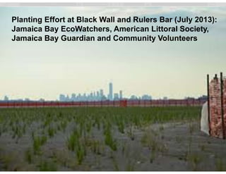 12
Yellow Bar: 44 acres, $17.3M
Black Wall: 20 acres, $2.1M 2007
Rulers Bar: 10 acres, $1.311M
Sponsors:
NYSDEC
Planting E...