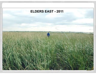 ELDERS EAST - 2011
 