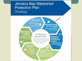 Jamaica bay task force -Ecological Restoration around the bay