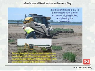 BUILDING STRONG®
Skid-steer moving 3’ x 3’ x
2’ hummocks with a mini-
excavator digging holes,
and planting the
hummocks.
Marsh Island Restoration in Jamaica Bay
Burke changed up equipment to get more
production out of hummock planting. The
operators got REALLY GOOD at this. Mini
excavator superior to skid steer.
 