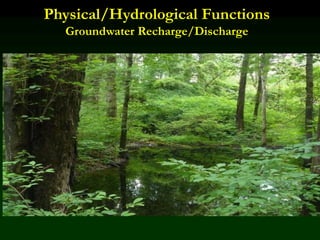 Physical/Hydrological Functions
Groundwater Recharge/Discharge
 