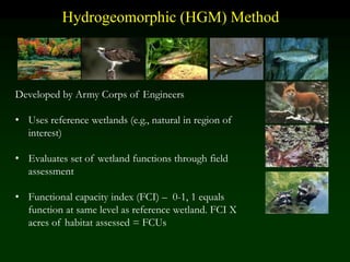 Hydrogeomorphic (HGM) Method
Developed by Army Corps of Engineers
• Uses reference wetlands (e.g., natural in region of
interest)
• Evaluates set of wetland functions through field
assessment
• Functional capacity index (FCI) – 0-1, 1 equals
function at same level as reference wetland. FCI X
acres of habitat assessed = FCUs
 