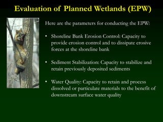 Evaluation of Planned Wetlands (EPW)
Here are the parameters for conducting the EPW:
• Shoreline Bank Erosion Control: Capacity to
provide erosion control and to dissipate erosive
forces at the shoreline bank
• Sediment Stabilization: Capacity to stabilize and
retain previously deposited sediments
• Water Quality: Capacity to retain and process
dissolved or particulate materials to the benefit of
downstream surface water quality
 