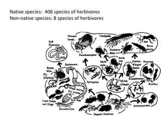 Native species: 406 species of herbivores
Non-native species: 8 species of herbivores
 