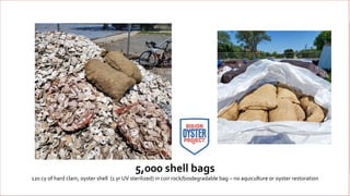 13
5,000 shell bags
120 cy of hard clam, oyster shell (1 yr UV sterilized) in coir rock/biodegradable bag – no aquiculture...