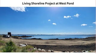 Major
Milestone for
JBRPC
7
Living Shoreline Project at West Pond
 