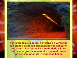 A intolerância e a culpa, a tristeza e a vergonha são efeitos da nossa incapacidade de aplicar o  auto-amor. A cobrança e a severidade são os frutos amargos da sementeira que realizamos nos descaminhos da irresponsabilidade. 