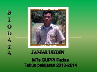 jamaluddin(biodata)