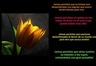 Jamas permitas que tu tiempo sea desperdiciado con alguién que nunca tendrá tiempo para vos! Jamas permitas oir gritos en tus oidos. El Amor es lo único que puede hablar mas alto! Jamas permitas que pasiones desenfrenadas te lleven de un mundo real para otro que nunca existio! Jamas permitas que otros sueños se mezclen a los tuyos, volviendolos una gran pesadilla! 