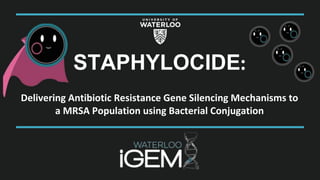 STAPHYLOCIDE:
Delivering Antibiotic Resistance Gene Silencing Mechanisms to
a MRSA Population using Bacterial Conjugation
 