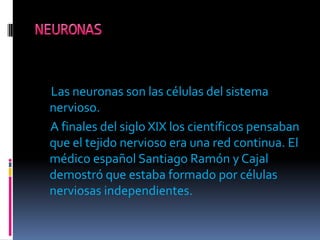 Las neuronas son las células del sistema
nervioso.
A finales del siglo XIX los científicos pensaban
que el tejido nervioso era una red continua. El
médico español Santiago Ramón y Cajal
demostró que estaba formado por células
nerviosas independientes.
 
