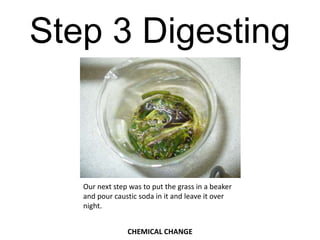Step 3 DigestingOur next step was to put the grass in a beaker and pour caustic soda in it and leave it over night.CHEMICAL CHANGE