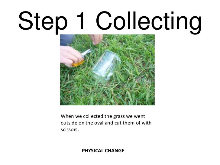 Making Paper from Grass