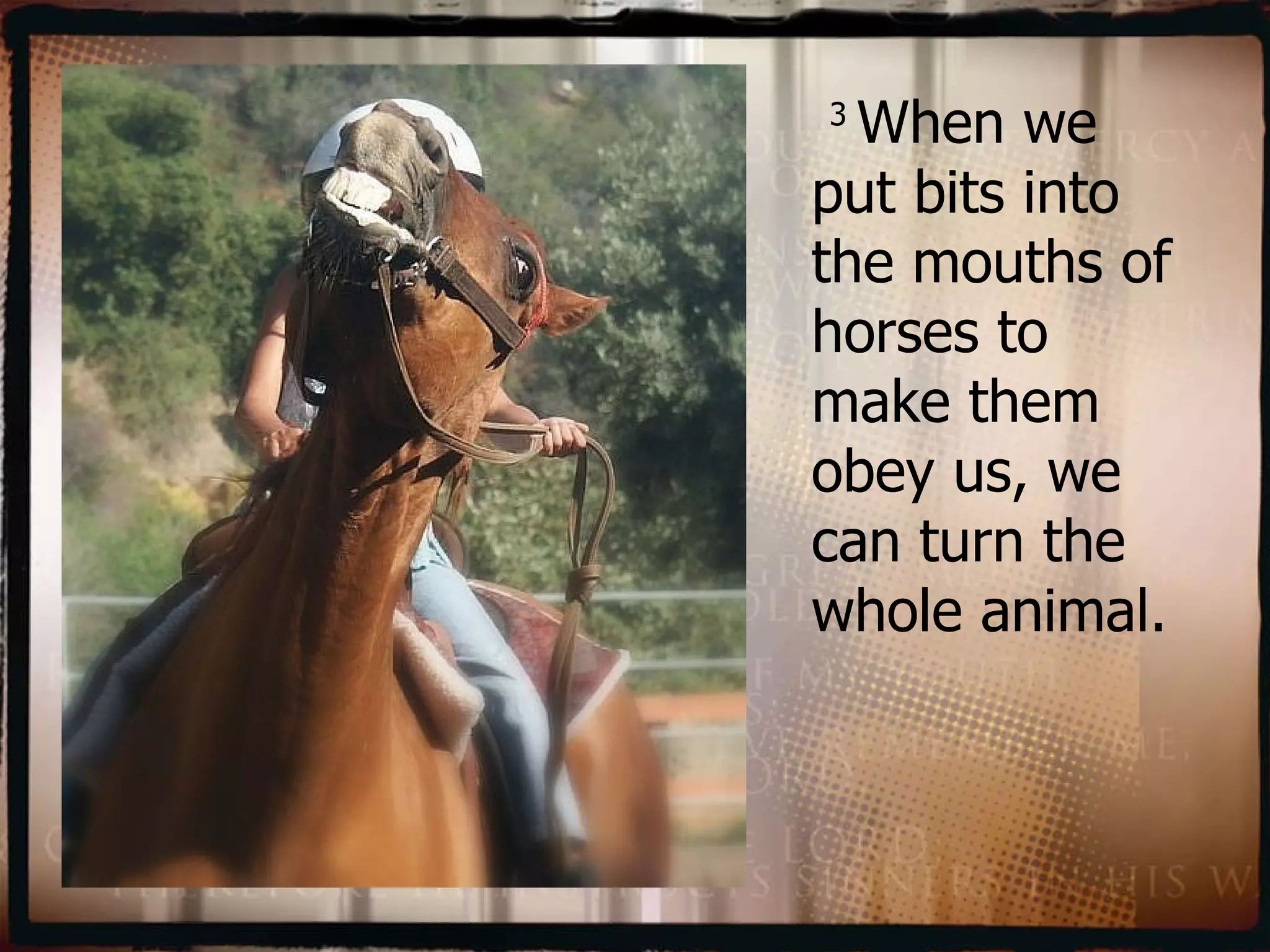   3  When we put bits into the mouths of horses to make them obey us, we can turn the whole animal.  
