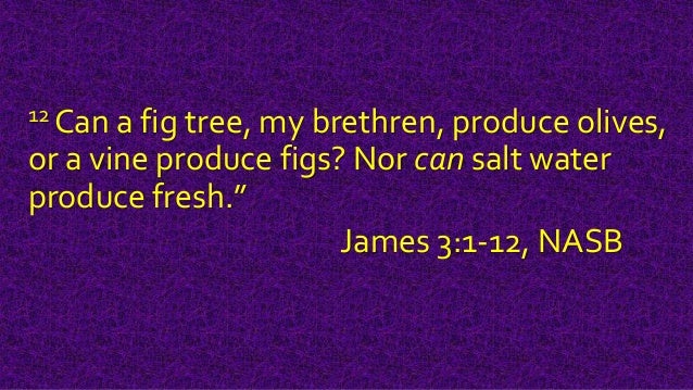 James 3 1 12 trouble-making tongue