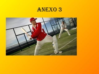 anexo 3
 
