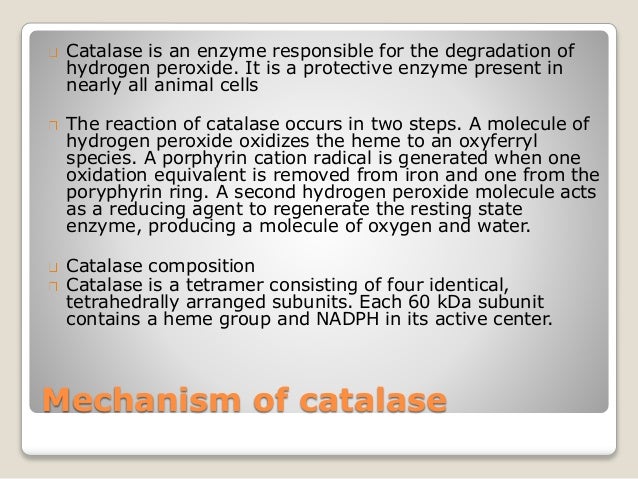 of composition hydrogen peroxide batcheller sumner of of James discoverer protein enzymes â€“ nature