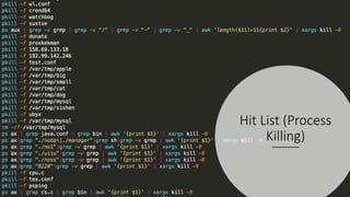 @laceworklabs
Hit List (Process
Killing)
 