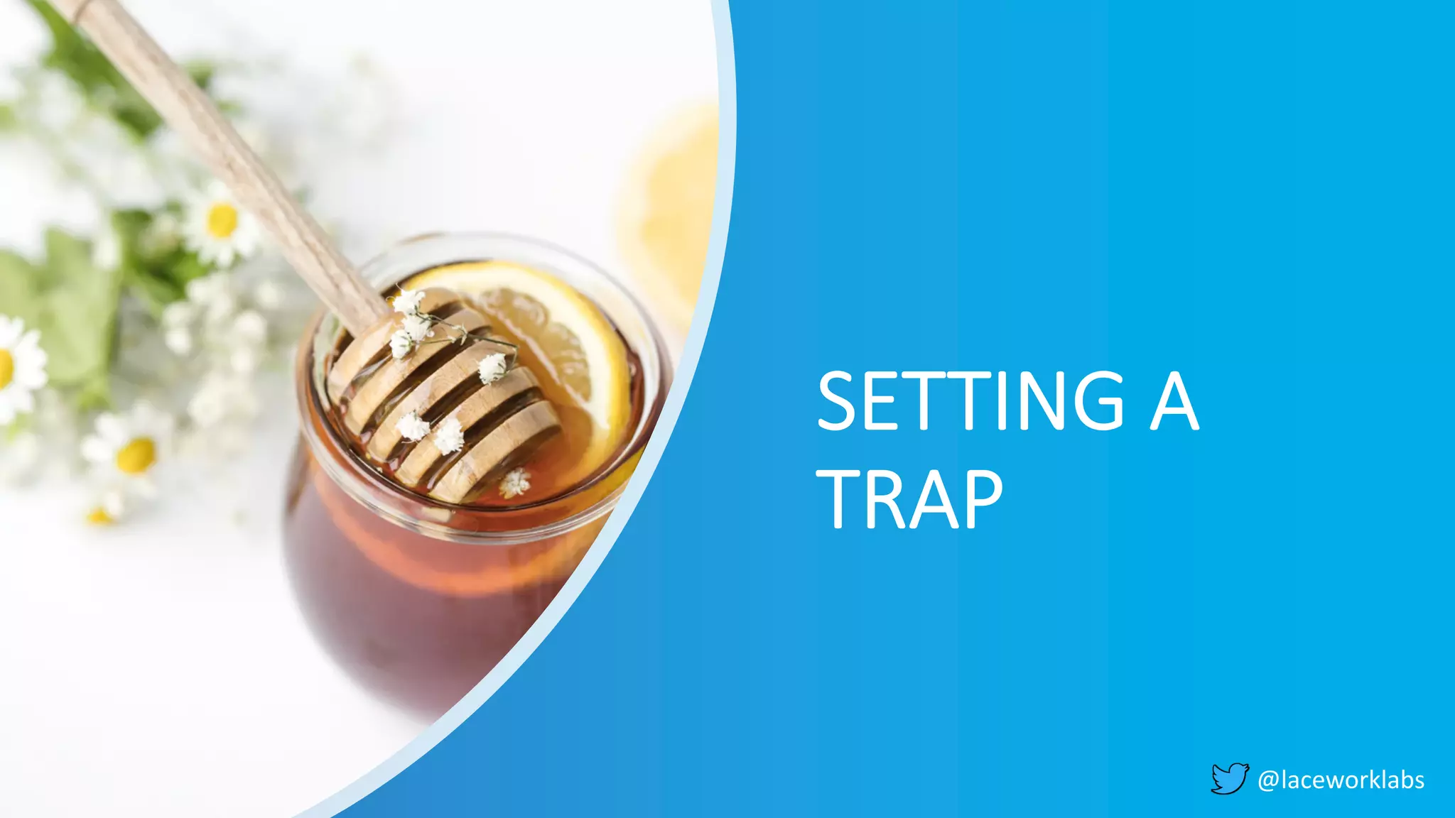 @laceworklabs
SETTING A
TRAP
 