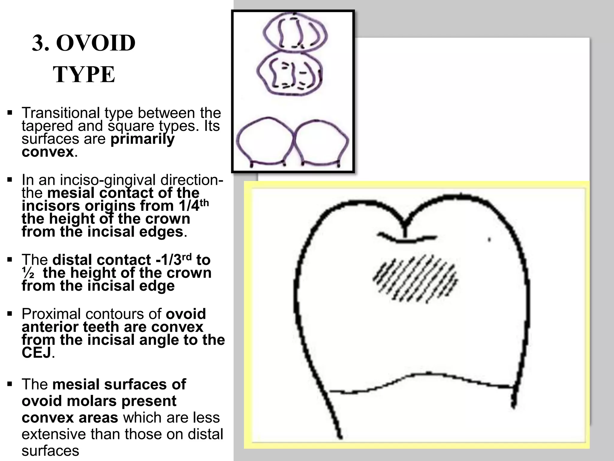 CONTACTS AND  CONTOURS IN DENTISTRY