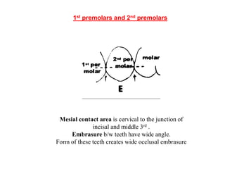 CONTACTS AND  CONTOURS IN DENTISTRY