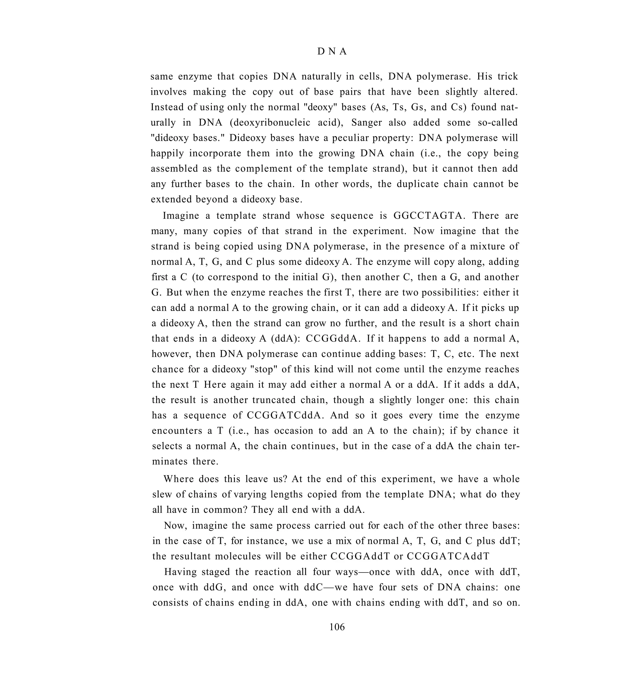 DNA

same enzyme that copies DNA naturally in cells, DNA polymerase. His trick
involves making the copy out of base pairs that have been slightly altered.
Instead of using only the normal "deoxy" bases (As, Ts, Gs, and Cs) found nat-
urally in DNA (deoxyribonucleic acid), Sanger also added some so-called
"dideoxy bases." Dideoxy bases have a peculiar property: DNA polymerase will
happily incorporate them into the growing DNA chain (i.e., the copy being
assembled as the complement of the template strand), but it cannot then add
any further bases to the chain. In other words, the duplicate chain cannot be
extended beyond a dideoxy base.
   Imagine a template strand whose sequence is GGCCTAGTA. There are
many, many copies of that strand in the experiment. Now imagine that the
strand is being copied using DNA polymerase, in the presence of a mixture of
normal A, T, G, and C plus some dideoxy A. The enzyme will copy along, adding
first a C (to correspond to the initial G), then another C, then a G, and another
G. But when the enzyme reaches the first T, there are two possibilities: either it
can add a normal A to the growing chain, or it can add a dideoxy A. If it picks up
a dideoxy A, then the strand can grow no further, and the result is a short chain
that ends in a dideoxy A (ddA): CCGGddA. If it happens to add a normal A,
however, then DNA polymerase can continue adding bases: T, C, etc. The next
chance for a dideoxy "stop" of this kind will not come until the enzyme reaches
the next T Here again it may add either a normal A or a ddA. If it adds a ddA,
the result is another truncated chain, though a slightly longer one: this chain
has a sequence of CCGGATCddA. And so it goes every time the enzyme
encounters a T (i.e., has occasion to add an A to the chain); if by chance it
selects a normal A, the chain continues, but in the case of a ddA the chain ter-
minates there.
   Where does this leave us? At the end of this experiment, we have a whole
slew of chains of varying lengths copied from the template DNA; what do they
all have in common? They all end with a ddA.
   Now, imagine the same process carried out for each of the other three bases:
in the case of T, for instance, we use a mix of normal A, T, G, and C plus ddT;
the resultant molecules will be either CCGGAddT or CCGGATCAddT
  Having staged the reaction all four ways—once with ddA, once with ddT,
once with ddG, and once with ddC—we have four sets of DNA chains: one
consists of chains ending in ddA, one with chains ending with ddT, and so on.

                                       106
 