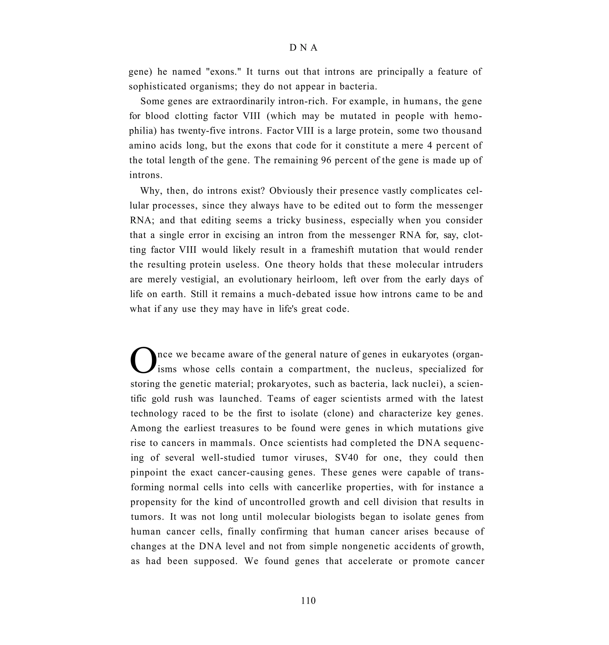 DNA

gene) he named "exons." It turns out that introns are principally a feature of
sophisticated organisms; they do not appear in bacteria.
   Some genes are extraordinarily intron-rich. For example, in humans, the gene
for blood clotting factor VIII (which may be mutated in people with hemo-
philia) has twenty-five introns. Factor VIII is a large protein, some two thousand
amino acids long, but the exons that code for it constitute a mere 4 percent of
the total length of the gene. The remaining 96 percent of the gene is made up of
introns.
   Why, then, do introns exist? Obviously their presence vastly complicates cel-
lular processes, since they always have to be edited out to form the messenger
RNA; and that editing seems a tricky business, especially when you consider
that a single error in excising an intron from the messenger RNA for, say, clot-
ting factor VIII would likely result in a frameshift mutation that would render
the resulting protein useless. One theory holds that these molecular intruders
are merely vestigial, an evolutionary heirloom, left over from the early days of
life on earth. Still it remains a much-debated issue how introns came to be and
what if any use they may have in life's great code.




O      nce we became aware of the general nature of genes in eukaryotes (organ-
       isms whose cells contain a compartment, the nucleus, specialized for
storing the genetic material; prokaryotes, such as bacteria, lack nuclei), a scien-
tific gold rush was launched. Teams of eager scientists armed with the latest
technology raced to be the first to isolate (clone) and characterize key genes.
Among the earliest treasures to be found were genes in which mutations give
rise to cancers in mammals. Once scientists had completed the DNA sequenc-
ing of several well-studied tumor viruses, SV40 for one, they could then
pinpoint the exact cancer-causing genes. These genes were capable of trans-
forming normal cells into cells with cancerlike properties, with for instance a
propensity for the kind of uncontrolled growth and cell division that results in
tumors. It was not long until molecular biologists began to isolate genes from
human cancer cells, finally confirming that human cancer arises because of
changes at the DNA level and not from simple nongenetic accidents of growth,
as had been supposed. We found genes that accelerate or promote cancer



                                       110
 