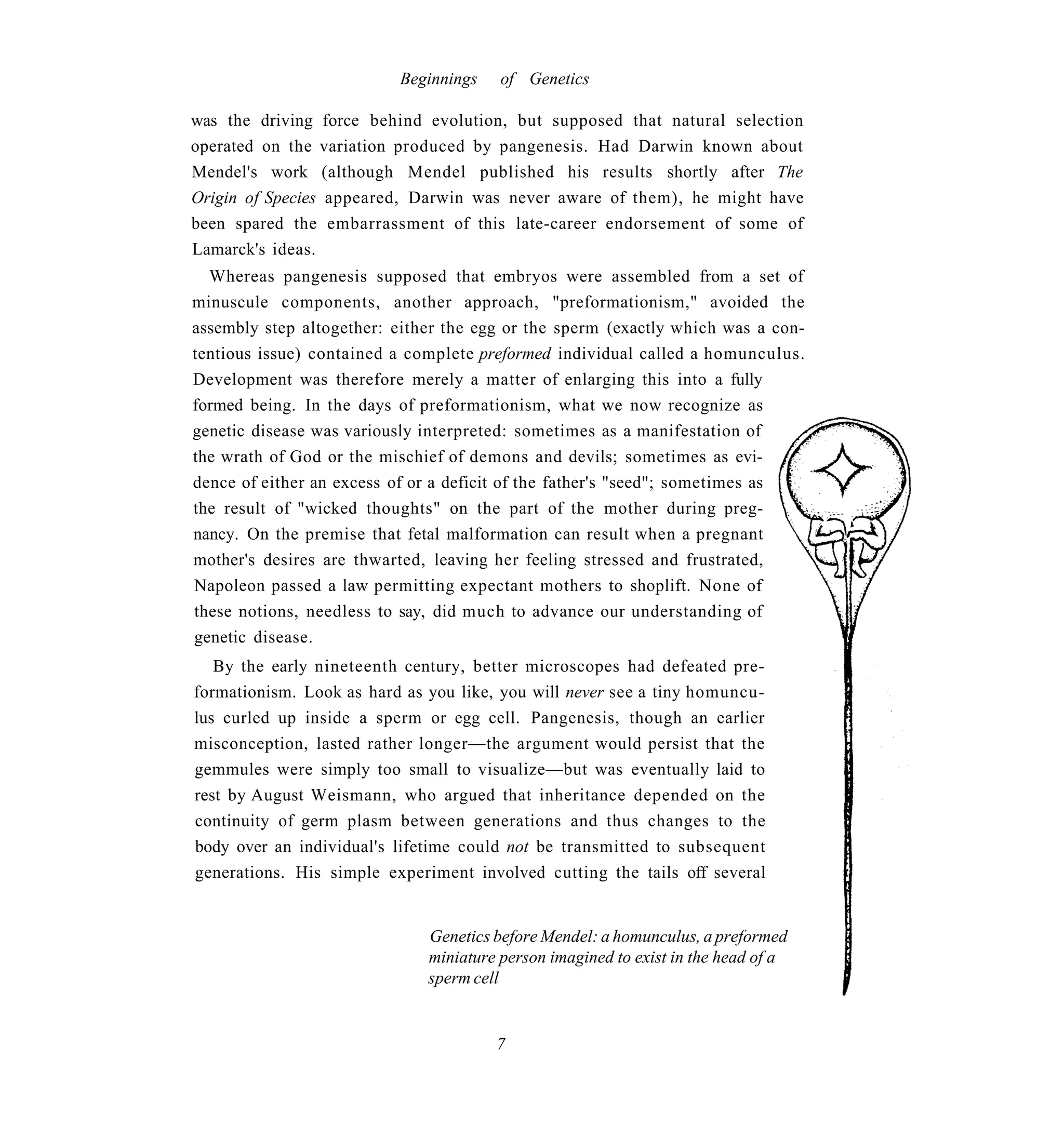 Beginnings    of Genetics

was the driving force behind evolution, but supposed that natural selection
operated on the variation produced by pangenesis. Had Darwin known about
Mendel's work (although Mendel published his results shortly after The
Origin of Species appeared, Darwin was never aware of them), he might have
been spared the embarrassment of this late-career endorsement of some of
Lamarck's ideas.
  Whereas pangenesis supposed that embryos were assembled from a set of
minuscule components, another approach, "preformationism," avoided the
assembly step altogether: either the egg or the sperm (exactly which was a con-
tentious issue) contained a complete preformed individual called a homunculus.
Development was therefore merely a matter of enlarging this into a fully
formed being. In the days of preformationism, what we now recognize as
genetic disease was variously interpreted: sometimes as a manifestation of
the wrath of God or the mischief of demons and devils; sometimes as evi-
dence of either an excess of or a deficit of the father's "seed"; sometimes as
the result of "wicked thoughts" on the part of the mother during preg-
nancy. On the premise that fetal malformation can result when a pregnant
mother's desires are thwarted, leaving her feeling stressed and frustrated,
Napoleon passed a law permitting expectant mothers to shoplift. None of
these notions, needless to say, did much to advance our understanding of
genetic disease.
   By the early nineteenth century, better microscopes had defeated pre-
formationism. Look as hard as you like, you will never see a tiny homuncu-
lus curled up inside a sperm or egg cell. Pangenesis, though an earlier
misconception, lasted rather longer—the argument would persist that the
gemmules were simply too small to visualize—but was eventually laid to
rest by August Weismann, who argued that inheritance depended on the
continuity of germ plasm between generations and thus changes to the
body over an individual's lifetime could not be transmitted to subsequent
generations. His simple experiment involved cutting the tails off several


                              Genetics before Mendel: a homunculus, a preformed
                              miniature person imagined to exist in the head of a
                              sperm cell


                                       7
 