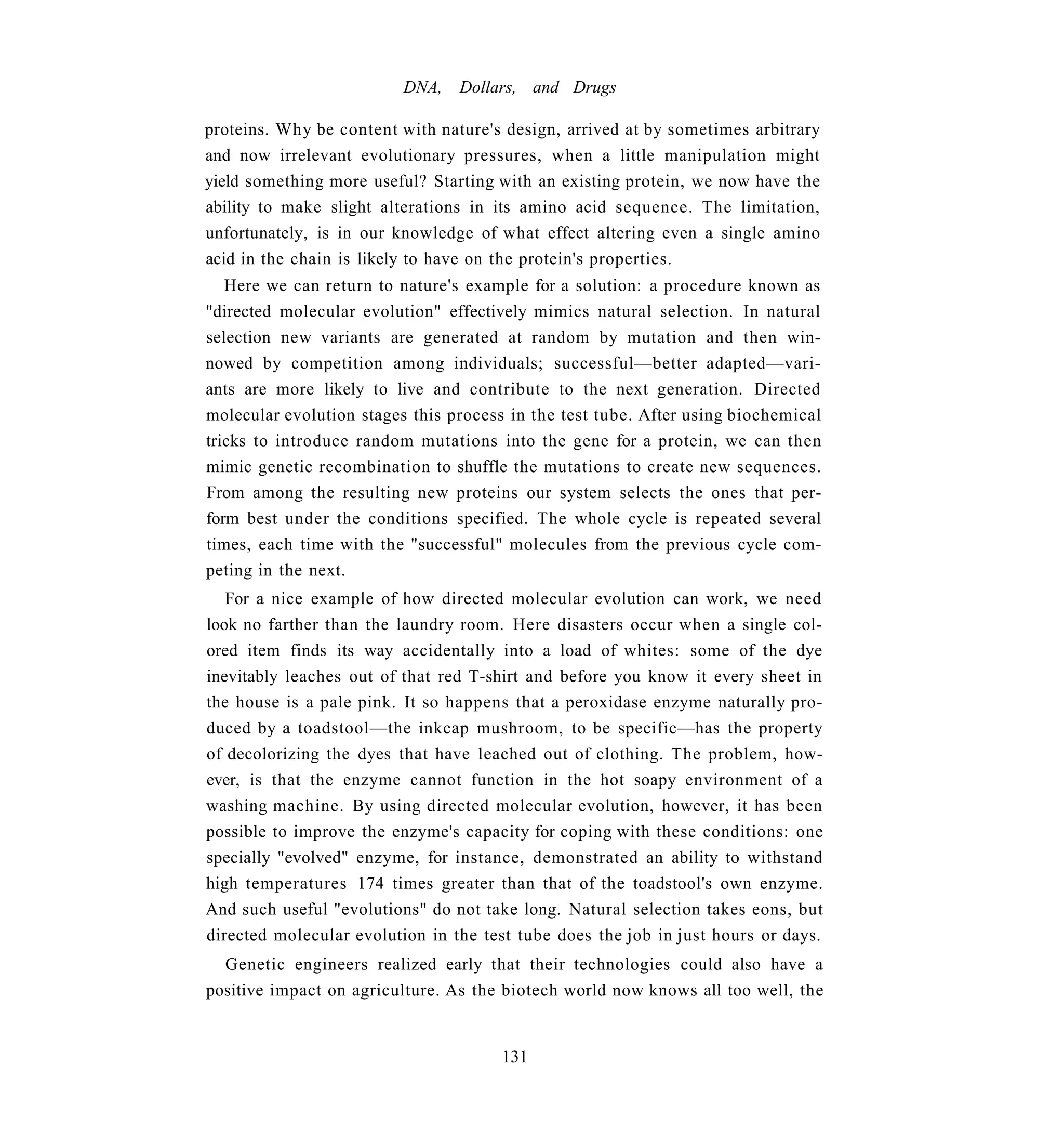 DNA,   Dollars, and Drugs

proteins. Why be content with nature's design, arrived at by sometimes arbitrary
and now irrelevant evolutionary pressures, when a little manipulation might
yield something more useful? Starting with an existing protein, we now have the
ability to make slight alterations in its amino acid sequence. The limitation,
unfortunately, is in our knowledge of what effect altering even a single amino
acid in the chain is likely to have on the protein's properties.
   Here we can return to nature's example for a solution: a procedure known as
"directed molecular evolution" effectively mimics natural selection. In natural
selection new variants are generated at random by mutation and then win-
nowed by competition among individuals; successful—better adapted—vari-
ants are more likely to live and contribute to the next generation. Directed
molecular evolution stages this process in the test tube. After using biochemical
tricks to introduce random mutations into the gene for a protein, we can then
mimic genetic recombination to shuffle the mutations to create new sequences.
From among the resulting new proteins our system selects the ones that per-
form best under the conditions specified. The whole cycle is repeated several
times, each time with the "successful" molecules from the previous cycle com-
peting in the next.
   For a nice example of how directed molecular evolution can work, we need
look no farther than the laundry room. Here disasters occur when a single col-
ored item finds its way accidentally into a load of whites: some of the dye
inevitably leaches out of that red T-shirt and before you know it every sheet in
the house is a pale pink. It so happens that a peroxidase enzyme naturally pro-
duced by a toadstool—the inkcap mushroom, to be specific—has the property
of decolorizing the dyes that have leached out of clothing. The problem, how-
ever, is that the enzyme cannot function in the hot soapy environment of a
washing machine. By using directed molecular evolution, however, it has been
possible to improve the enzyme's capacity for coping with these conditions: one
specially "evolved" enzyme, for instance, demonstrated an ability to withstand
high temperatures 174 times greater than that of the toadstool's own enzyme.
And such useful "evolutions" do not take long. Natural selection takes eons, but
directed molecular evolution in the test tube does the job in just hours or days.
  Genetic engineers realized early that their technologies could also have a
positive impact on agriculture. As the biotech world now knows all too well, the


                                      131
 
