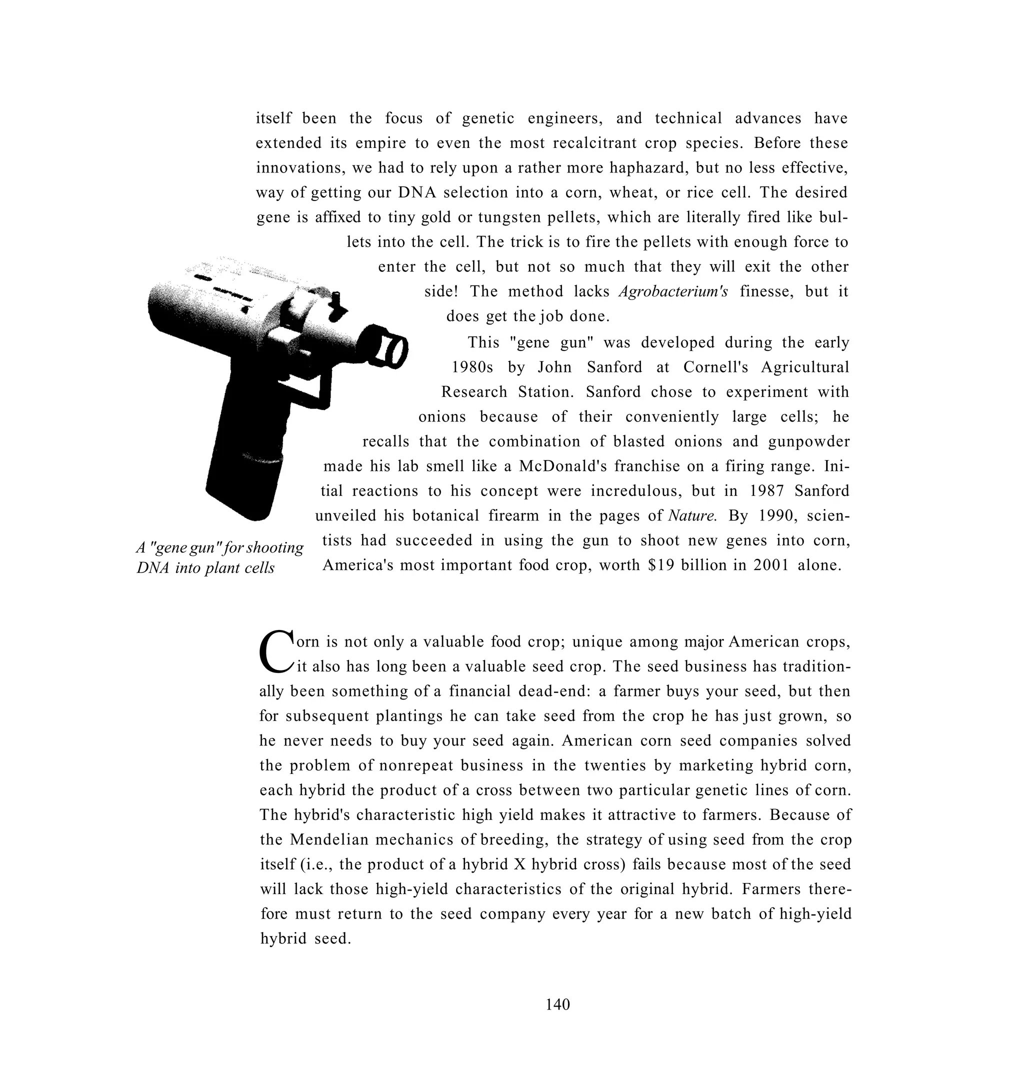 itself been the focus of genetic engineers, and technical advances have
                extended its empire to even the most recalcitrant crop species. Before these
                innovations, we had to rely upon a rather more haphazard, but no less effective,
                way of getting our DNA selection into a corn, wheat, or rice cell. The desired
                gene is affixed to tiny gold or tungsten pellets, which are literally fired like bul-
                             lets into the cell. The trick is to fire the pellets with enough force to
                                  enter the cell, but not so much that they will exit the other
                                         side! The method lacks Agrobacterium's finesse, but it
                                            does get the job done.
                                                This "gene gun" was developed during the early
                                             1980s by John Sanford at Cornell's Agricultural
                                            Research Station. Sanford chose to experiment with
                                         onions because of their conveniently large cells; he
                                 recalls that the combination of blasted onions and gunpowder
                            made his lab smell like a McDonald's franchise on a firing range. Ini-
                           tial reactions to his concept were incredulous, but in 1987 Sanford
                          unveiled his botanical firearm in the pages of Nature. By 1990, scien-
A "gene gun" for shooting tists had succeeded in using the gun to shoot new genes into corn,
DNA into plant cells       America's most important food crop, worth $19 billion in 2001 alone.




                C     orn is not only a valuable food crop; unique among major American crops,
                      it also has long been a valuable seed crop. The seed business has tradition-
                ally been something of a financial dead-end: a farmer buys your seed, but then
                for subsequent plantings he can take seed from the crop he has just grown, so
                he never needs to buy your seed again. American corn seed companies solved
                the problem of nonrepeat business in the twenties by marketing hybrid corn,
                each hybrid the product of a cross between two particular genetic lines of corn.
                The hybrid's characteristic high yield makes it attractive to farmers. Because of
                the Mendelian mechanics of breeding, the strategy of using seed from the crop
                itself (i.e., the product of a hybrid X hybrid cross) fails because most of the seed
                will lack those high-yield characteristics of the original hybrid. Farmers there-
                fore must return to the seed company every year for a new batch of high-yield
                hybrid seed.


                                                         140
 