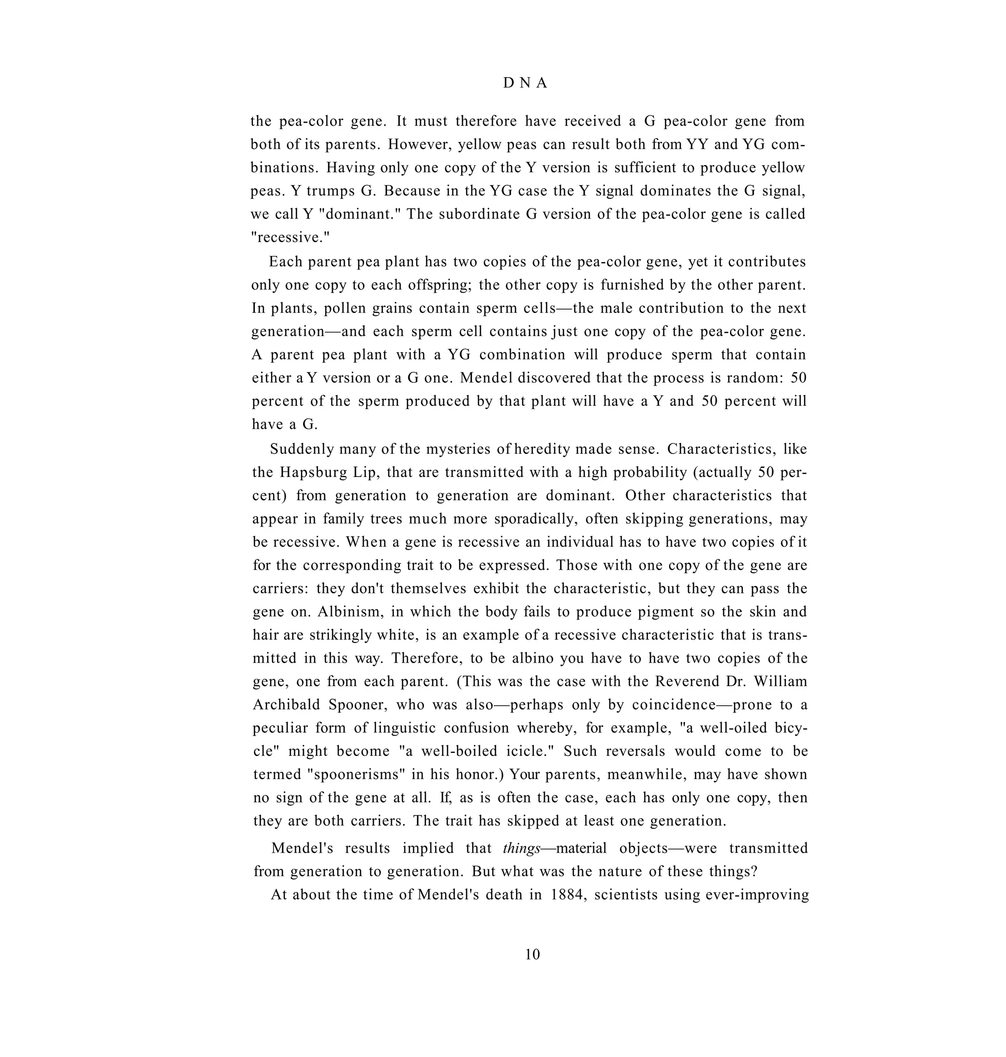 DNA

the pea-color gene. It must therefore have received a G pea-color gene from
both of its parents. However, yellow peas can result both from YY and YG com-
binations. Having only one copy of the Y version is sufficient to produce yellow
peas. Y trumps G. Because in the YG case the Y signal dominates the G signal,
we call Y "dominant." The subordinate G version of the pea-color gene is called
"recessive."
   Each parent pea plant has two copies of the pea-color gene, yet it contributes
only one copy to each offspring; the other copy is furnished by the other parent.
In plants, pollen grains contain sperm cells—the male contribution to the next
generation—and each sperm cell contains just one copy of the pea-color gene.
A parent pea plant with a YG combination will produce sperm that contain
either a Y version or a G one. Mendel discovered that the process is random: 50
percent of the sperm produced by that plant will have a Y and 50 percent will
have a G.
   Suddenly many of the mysteries of heredity made sense. Characteristics, like
the Hapsburg Lip, that are transmitted with a high probability (actually 50 per-
cent) from generation to generation are dominant. Other characteristics that
appear in family trees much more sporadically, often skipping generations, may
be recessive. When a gene is recessive an individual has to have two copies of it
for the corresponding trait to be expressed. Those with one copy of the gene are
carriers: they don't themselves exhibit the characteristic, but they can pass the
gene on. Albinism, in which the body fails to produce pigment so the skin and
hair are strikingly white, is an example of a recessive characteristic that is trans-
mitted in this way. Therefore, to be albino you have to have two copies of the
gene, one from each parent. (This was the case with the Reverend Dr. William
Archibald Spooner, who was also—perhaps only by coincidence—prone to a
peculiar form of linguistic confusion whereby, for example, "a well-oiled bicy-
cle" might become "a well-boiled icicle." Such reversals would come to be
termed "spoonerisms" in his honor.) Your parents, meanwhile, may have shown
no sign of the gene at all. If, as is often the case, each has only one copy, then
they are both carriers. The trait has skipped at least one generation.
   Mendel's results implied that things—material objects—were transmitted
from generation to generation. But what was the nature of these things?
   At about the time of Mendel's death in 1884, scientists using ever-improving


                                         10
 