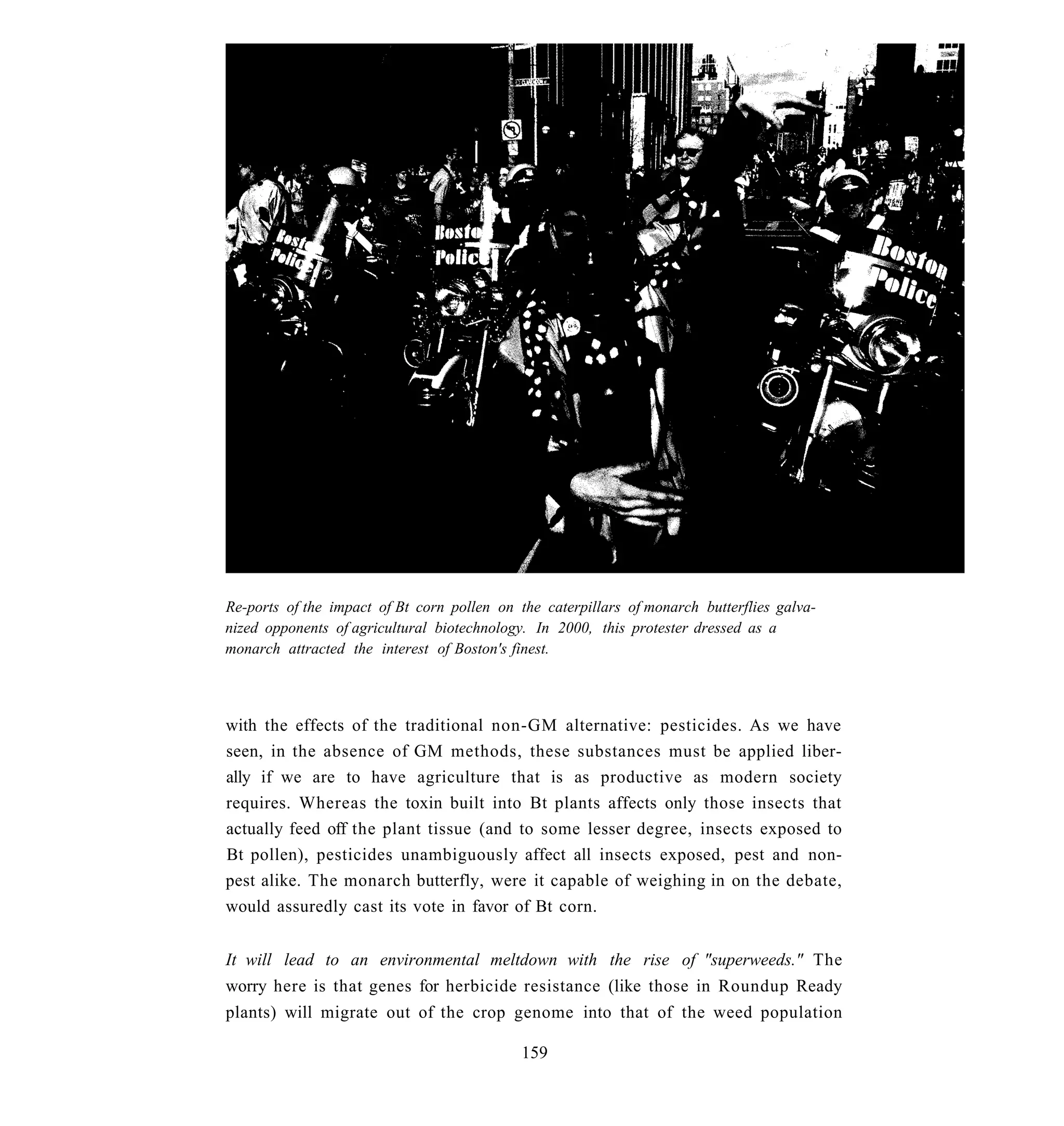 Re-ports of the impact of Bt corn pollen on the caterpillars of monarch butterflies galva-
nized opponents of agricultural biotechnology. In 2000, this protester dressed as a
monarch attracted the interest of Boston's finest.



with the effects of the traditional non-GM alternative: pesticides. As we have
seen, in the absence of GM methods, these substances must be applied liber-
ally if we are to have agriculture that is as productive as modern society
requires. Whereas the toxin built into Bt plants affects only those insects that
actually feed off the plant tissue (and to some lesser degree, insects exposed to
Bt pollen), pesticides unambiguously affect all insects exposed, pest and non-
pest alike. The monarch butterfly, were it capable of weighing in on the debate,
would assuredly cast its vote in favor of Bt corn.


It will lead to an environmental meltdown with the rise of "superweeds." The
worry here is that genes for herbicide resistance (like those in Roundup Ready
plants) will migrate out of the crop genome into that of the weed population

                                             159
 