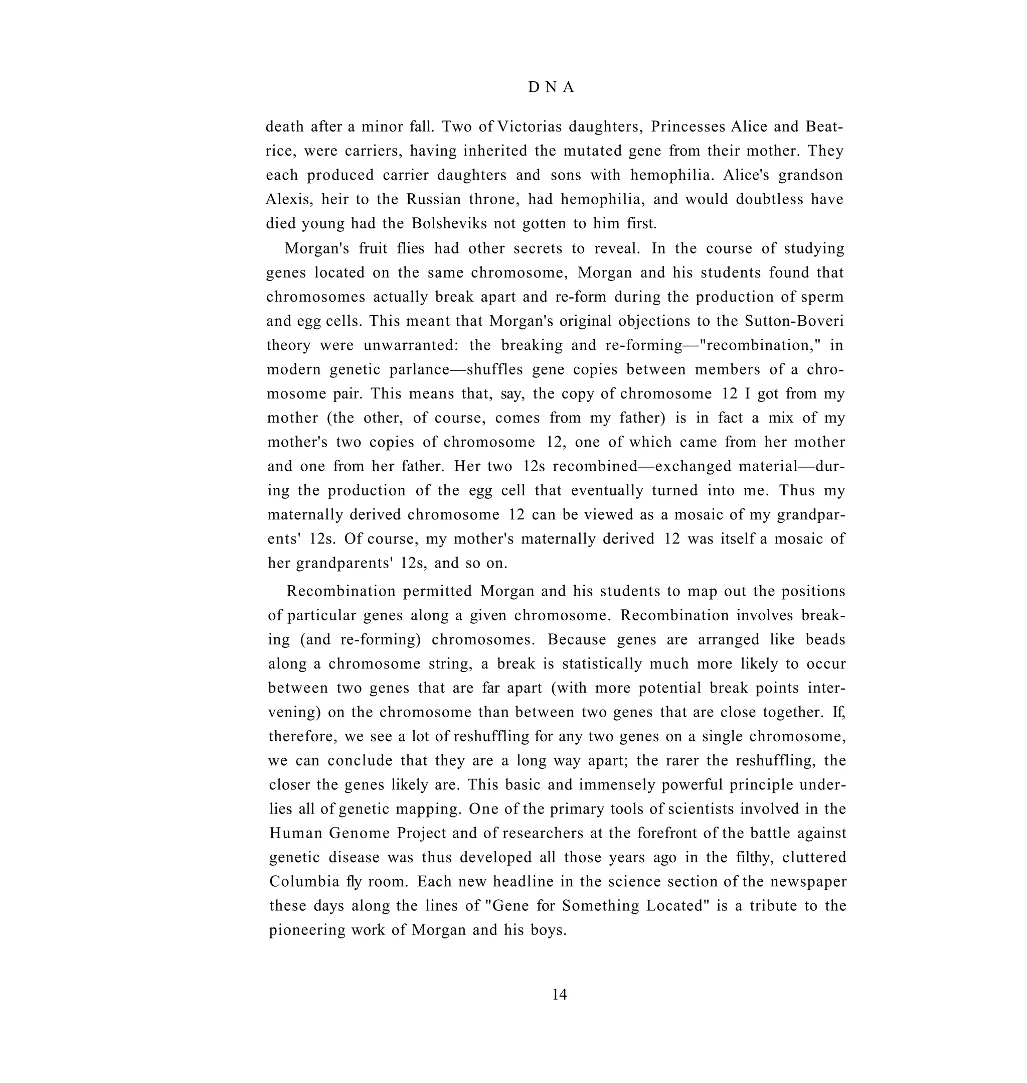 DNA

death after a minor fall. Two of Victorias daughters, Princesses Alice and Beat-
rice, were carriers, having inherited the mutated gene from their mother. They
each produced carrier daughters and sons with hemophilia. Alice's grandson
Alexis, heir to the Russian throne, had hemophilia, and would doubtless have
died young had the Bolsheviks not gotten to him first.
   Morgan's fruit flies had other secrets to reveal. In the course of studying
genes located on the same chromosome, Morgan and his students found that
chromosomes actually break apart and re-form during the production of sperm
and egg cells. This meant that Morgan's original objections to the Sutton-Boveri
theory were unwarranted: the breaking and re-forming—"recombination," in
modern genetic parlance—shuffles gene copies between members of a chro-
mosome pair. This means that, say, the copy of chromosome 12 I got from my
mother (the other, of course, comes from my father) is in fact a mix of my
mother's two copies of chromosome 12, one of which came from her mother
and one from her father. Her two 12s recombined—exchanged material—dur-
ing the production of the egg cell that eventually turned into me. Thus my
maternally derived chromosome 12 can be viewed as a mosaic of my grandpar-
ents' 12s. Of course, my mother's maternally derived 12 was itself a mosaic of
her grandparents' 12s, and so on.
   Recombination permitted Morgan and his students to map out the positions
of particular genes along a given chromosome. Recombination involves break-
ing (and re-forming) chromosomes. Because genes are arranged like beads
along a chromosome string, a break is statistically much more likely to occur
between two genes that are far apart (with more potential break points inter-
vening) on the chromosome than between two genes that are close together. If,
therefore, we see a lot of reshuffling for any two genes on a single chromosome,
we can conclude that they are a long way apart; the rarer the reshuffling, the
closer the genes likely are. This basic and immensely powerful principle under-
lies all of genetic mapping. One of the primary tools of scientists involved in the
Human Genome Project and of researchers at the forefront of the battle against
genetic disease was thus developed all those years ago in the filthy, cluttered
Columbia fly room. Each new headline in the science section of the newspaper
these days along the lines of "Gene for Something Located" is a tribute to the
pioneering work of Morgan and his boys.


                                        14
 