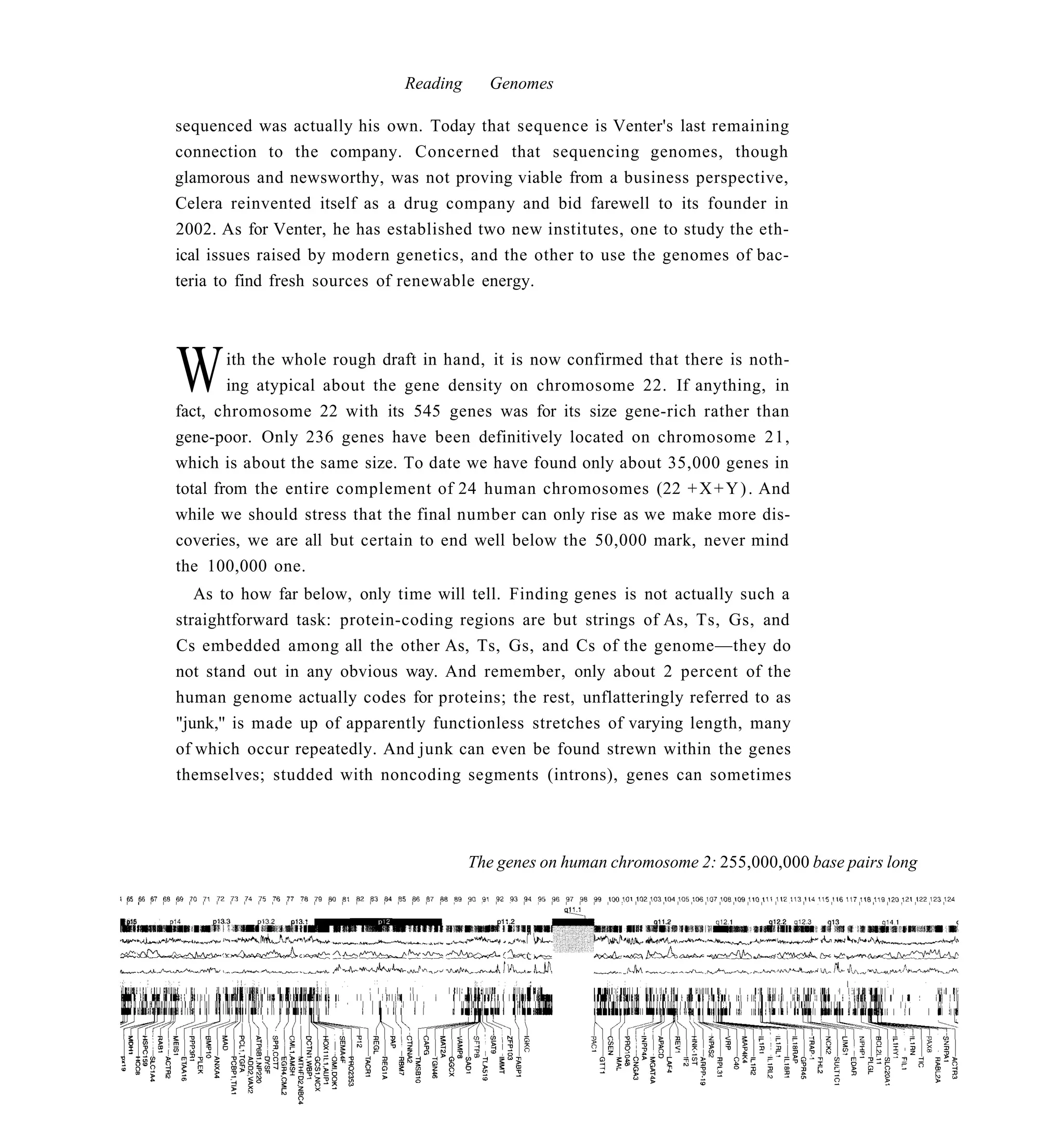 Reading     Genomes

sequenced was actually his own. Today that sequence is Venter's last remaining
connection to the company. Concerned that sequencing genomes, though
glamorous and newsworthy, was not proving viable from a business perspective,
Celera reinvented itself as a drug company and bid farewell to its founder in
2002. As for Venter, he has established two new institutes, one to study the eth-
ical issues raised by modern genetics, and the other to use the genomes of bac-
teria to find fresh sources of renewable energy.




W       ith the whole rough draft in hand, it is now confirmed that there is noth-
        ing atypical about the gene density on chromosome 22. If anything, in
fact, chromosome 22 with its 545 genes was for its size gene-rich rather than
gene-poor. Only 236 genes have been definitively located on chromosome 21,
which is about the same size. To date we have found only about 35,000 genes in
total from the entire complement of 24 human chromosomes (22 + X + Y ) . And
while we should stress that the final number can only rise as we make more dis-
coveries, we are all but certain to end well below the 50,000 mark, never mind
the 100,000 one.
   As to how far below, only time will tell. Finding genes is not actually such a
straightforward task: protein-coding regions are but strings of As, Ts, Gs, and
Cs embedded among all the other As, Ts, Gs, and Cs of the genome—they do
not stand out in any obvious way. And remember, only about 2 percent of the
human genome actually codes for proteins; the rest, unflatteringly referred to as
"junk,'' is made up of apparently functionless stretches of varying length, many
of which occur repeatedly. And junk can even be found strewn within the genes
themselves; studded with noncoding segments (introns), genes can sometimes




                                        The genes on human chromosome 2: 255,000,000 base pairs long
 
