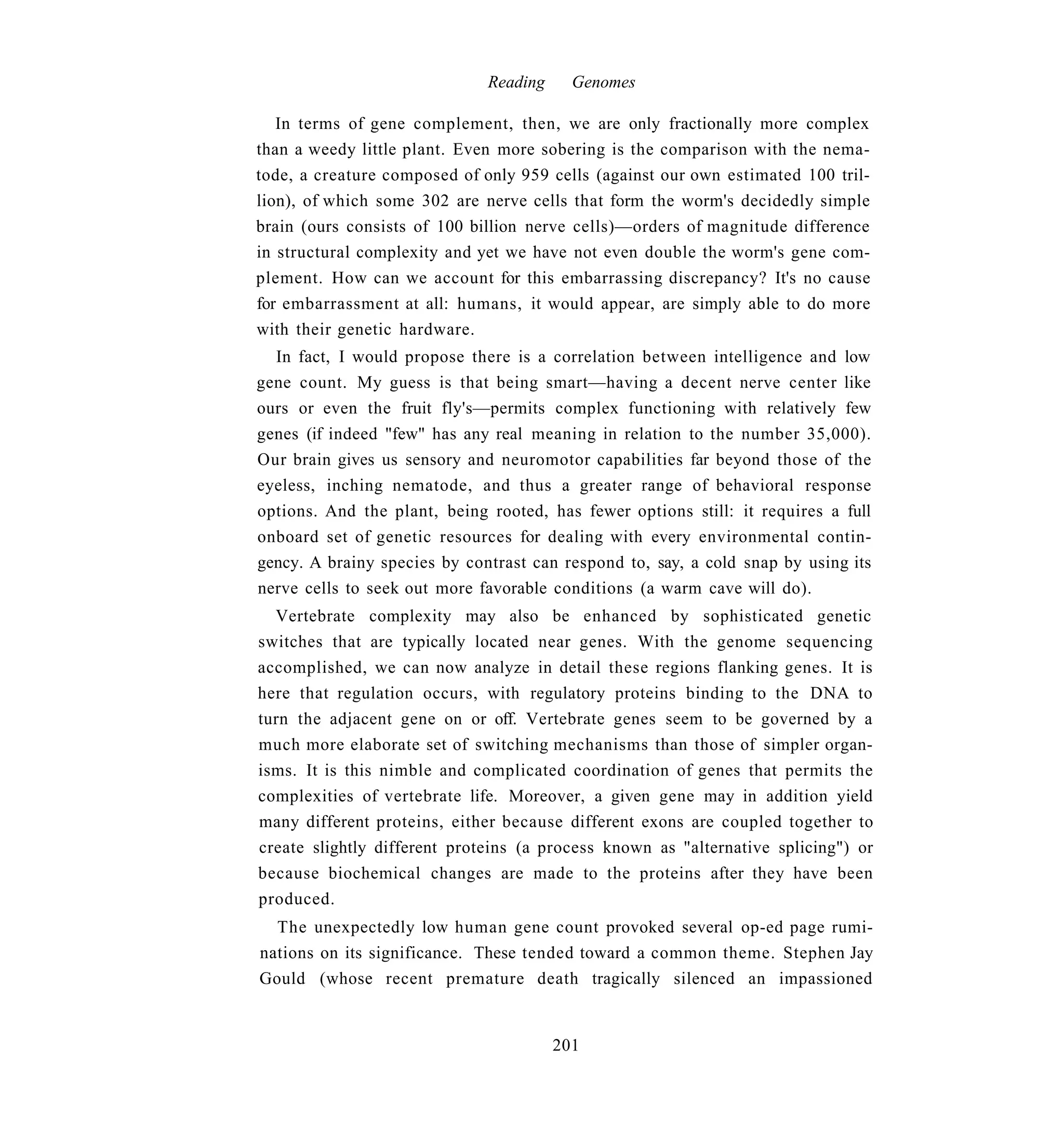Reading     Genomes

   In terms of gene complement, then, we are only fractionally more complex
than a weedy little plant. Even more sobering is the comparison with the nema-
tode, a creature composed of only 959 cells (against our own estimated 100 tril-
lion), of which some 302 are nerve cells that form the worm's decidedly simple
brain (ours consists of 100 billion nerve cells)—orders of magnitude difference
in structural complexity and yet we have not even double the worm's gene com-
plement. How can we account for this embarrassing discrepancy? It's no cause
for embarrassment at all: humans, it would appear, are simply able to do more
with their genetic hardware.
  In fact, I would propose there is a correlation between intelligence and low
gene count. My guess is that being smart—having a decent nerve center like
ours or even the fruit fly's—permits complex functioning with relatively few
genes (if indeed "few" has any real meaning in relation to the number 35,000).
Our brain gives us sensory and neuromotor capabilities far beyond those of the
eyeless, inching nematode, and thus a greater range of behavioral response
options. And the plant, being rooted, has fewer options still: it requires a full
onboard set of genetic resources for dealing with every environmental contin-
gency. A brainy species by contrast can respond to, say, a cold snap by using its
nerve cells to seek out more favorable conditions (a warm cave will do).
  Vertebrate complexity may also be enhanced by sophisticated genetic
switches that are typically located near genes. With the genome sequencing
accomplished, we can now analyze in detail these regions flanking genes. It is
here that regulation occurs, with regulatory proteins binding to the DNA to
turn the adjacent gene on or off. Vertebrate genes seem to be governed by a
much more elaborate set of switching mechanisms than those of simpler organ-
isms. It is this nimble and complicated coordination of genes that permits the
complexities of vertebrate life. Moreover, a given gene may in addition yield
many different proteins, either because different exons are coupled together to
create slightly different proteins (a process known as "alternative splicing") or
because biochemical changes are made to the proteins after they have been
produced.
  The unexpectedly low human gene count provoked several op-ed page rumi-
nations on its significance. These tended toward a common theme. Stephen Jay
Gould (whose recent premature death tragically silenced an impassioned


                                        201
 