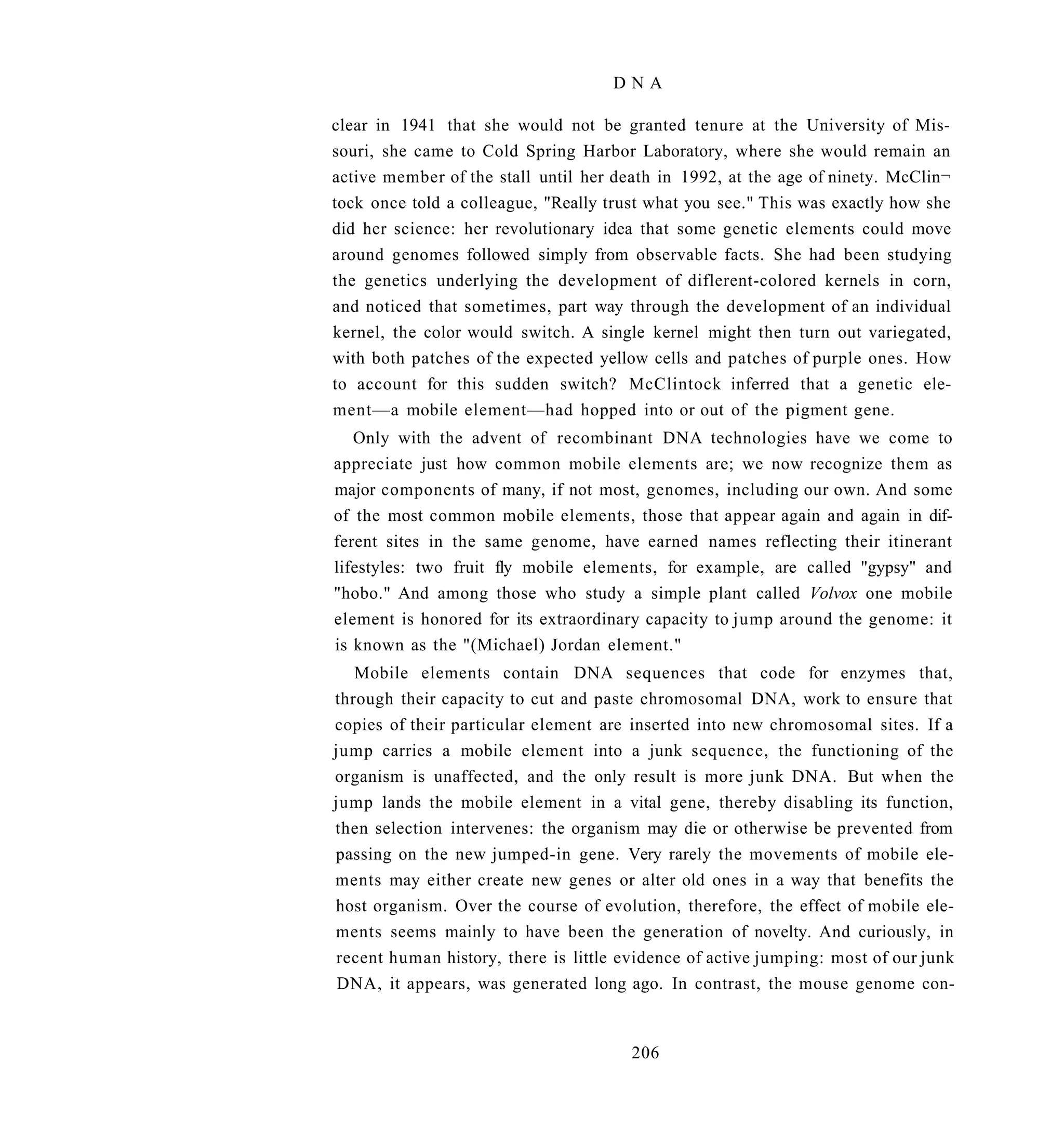 DNA

clear in 1941 that she would not be granted tenure at the University of Mis-
souri, she came to Cold Spring Harbor Laboratory, where she would remain an
active member of the stall until her death in 1992, at the age of ninety. McClin¬
tock once told a colleague, "Really trust what you see." This was exactly how she
did her science: her revolutionary idea that some genetic elements could move
around genomes followed simply from observable facts. She had been studying
the genetics underlying the development of diflerent-colored kernels in corn,
and noticed that sometimes, part way through the development of an individual
kernel, the color would switch. A single kernel might then turn out variegated,
with both patches of the expected yellow cells and patches of purple ones. How
to account for this sudden switch? McClintock inferred that a genetic ele-
ment—a mobile element—had hopped into or out of the pigment gene.
   Only with the advent of recombinant DNA technologies have we come to
appreciate just how common mobile elements are; we now recognize them as
major components of many, if not most, genomes, including our own. And some
of the most common mobile elements, those that appear again and again in dif-
ferent sites in the same genome, have earned names reflecting their itinerant
lifestyles: two fruit fly mobile elements, for example, are called "gypsy" and
"hobo." And among those who study a simple plant called Volvox one mobile
element is honored for its extraordinary capacity to jump around the genome: it
is known as the "(Michael) Jordan element."
   Mobile elements contain DNA sequences that code for enzymes that,
through their capacity to cut and paste chromosomal DNA, work to ensure that
copies of their particular element are inserted into new chromosomal sites. If a
jump carries a mobile element into a junk sequence, the functioning of the
organism is unaffected, and the only result is more junk DNA. But when the
jump lands the mobile element in a vital gene, thereby disabling its function,
then selection intervenes: the organism may die or otherwise be prevented from
passing on the new jumped-in gene. Very rarely the movements of mobile ele-
ments may either create new genes or alter old ones in a way that benefits the
host organism. Over the course of evolution, therefore, the effect of mobile ele-
ments seems mainly to have been the generation of novelty. And curiously, in
recent human history, there is little evidence of active jumping: most of our junk
 DNA, it appears, was generated long ago. In contrast, the mouse genome con-


                                       206
 
