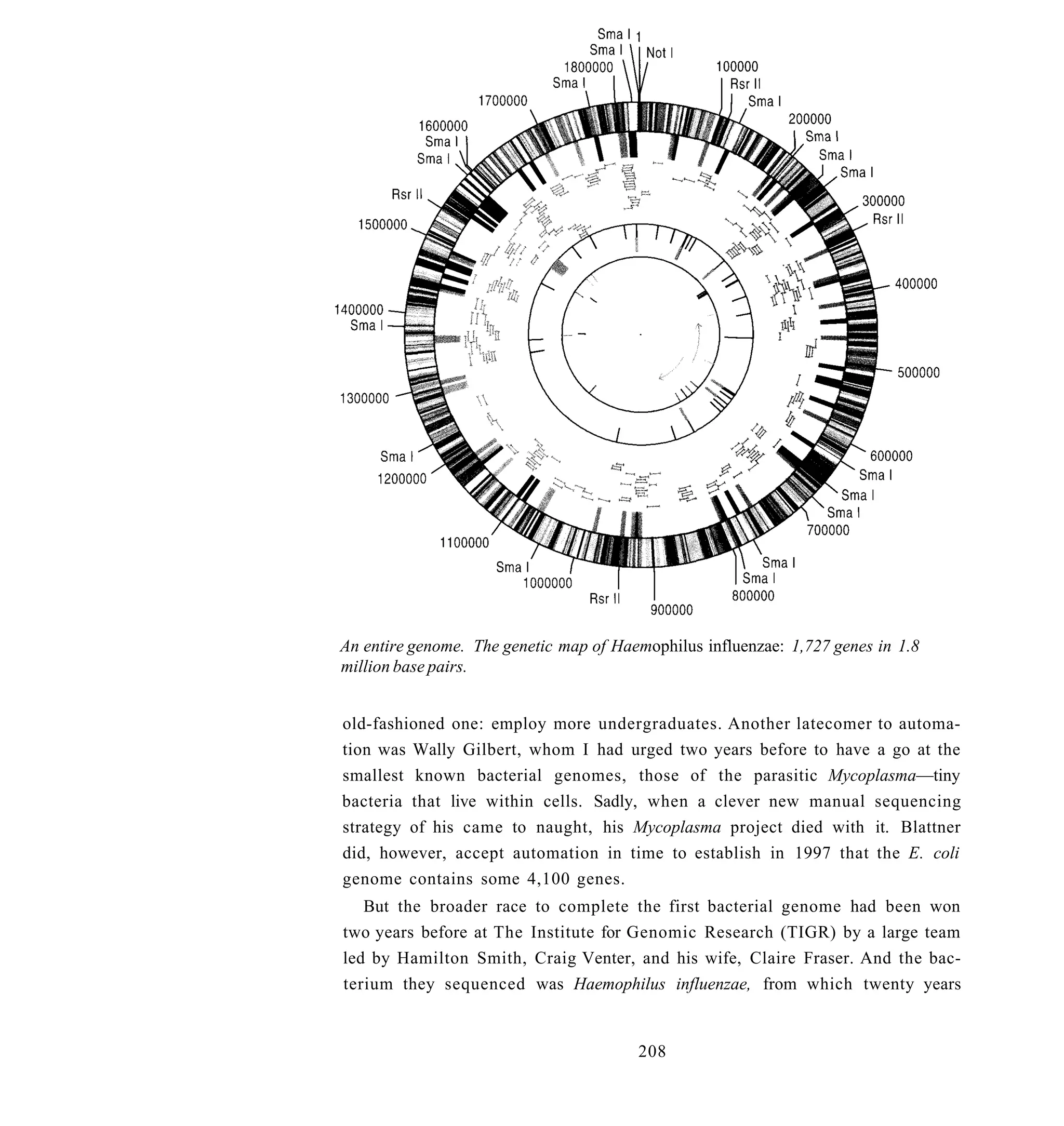 An entire genome. The genetic map of Haemophilus influenzae: 1,727 genes in 1.8
million base pairs.


old-fashioned one: employ more undergraduates. Another latecomer to automa-
tion was Wally Gilbert, whom I had urged two years before to have a go at the
smallest known bacterial genomes, those of the parasitic Mycoplasma—tiny
bacteria that live within cells. Sadly, when a clever new manual sequencing
strategy of his came to naught, his Mycoplasma project died with it. Blattner
did, however, accept automation in time to establish in 1997 that the E. coli
genome contains some 4,100 genes.
   But the broader race to complete the first bacterial genome had been won
two years before at The Institute for Genomic Research (TIGR) by a large team
led by Hamilton Smith, Craig Venter, and his wife, Claire Fraser. And the bac-
terium they sequenced was Haemophilus influenzae, from which twenty years


                                        208
 