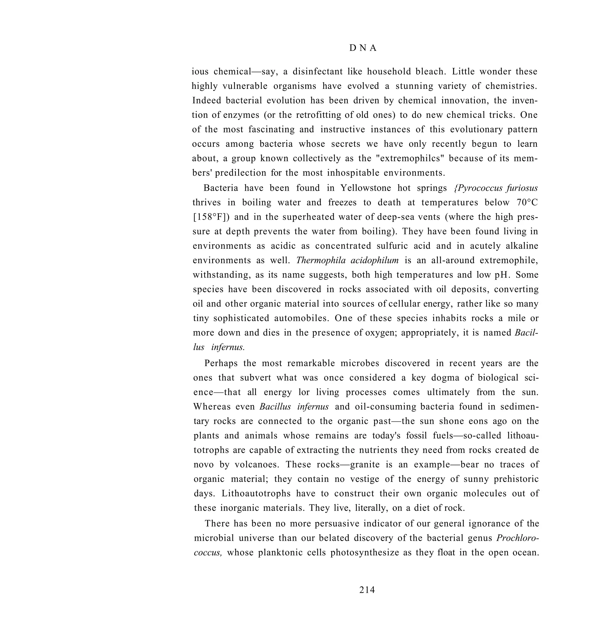 DNA

ious chemical—say, a disinfectant like household bleach. Little wonder these
highly vulnerable organisms have evolved a stunning variety of chemistries.
Indeed bacterial evolution has been driven by chemical innovation, the inven-
tion of enzymes (or the retrofitting of old ones) to do new chemical tricks. One
of the most fascinating and instructive instances of this evolutionary pattern
occurs among bacteria whose secrets we have only recently begun to learn
about, a group known collectively as the "extremophilcs" because of its mem-
bers' predilection for the most inhospitable environments.
   Bacteria have been found in Yellowstone hot springs {Pyrococcus furiosus
thrives in boiling water and freezes to death at temperatures below 70°C
[158°F]) and in the superheated water of deep-sea vents (where the high pres-
sure at depth prevents the water from boiling). They have been found living in
environments as acidic as concentrated sulfuric acid and in acutely alkaline
environments as well. Thermophila acidophilum is an all-around extremophile,
withstanding, as its name suggests, both high temperatures and low pH. Some
species have been discovered in rocks associated with oil deposits, converting
oil and other organic material into sources of cellular energy, rather like so many
tiny sophisticated automobiles. One of these species inhabits rocks a mile or
more down and dies in the presence of oxygen; appropriately, it is named Bacil-
lus infernus.
   Perhaps the most remarkable microbes discovered in recent years are the
ones that subvert what was once considered a key dogma of biological sci-
ence—that all energy lor living processes comes ultimately from the sun.
Whereas even Bacillus infernus and oil-consuming bacteria found in sedimen-
tary rocks are connected to the organic past—the sun shone eons ago on the
plants and animals whose remains are today's fossil fuels—so-called lithoau-
totrophs are capable of extracting the nutrients they need from rocks created de
novo by volcanoes. These rocks—granite is an example—bear no traces of
organic material; they contain no vestige of the energy of sunny prehistoric
days. Lithoautotrophs have to construct their own organic molecules out of
these inorganic materials. They live, literally, on a diet of rock.
  There has been no more persuasive indicator of our general ignorance of the
microbial universe than our belated discovery of the bacterial genus Prochloro-
coccus, whose planktonic cells photosynthesize as they float in the open ocean.


                                        214
 