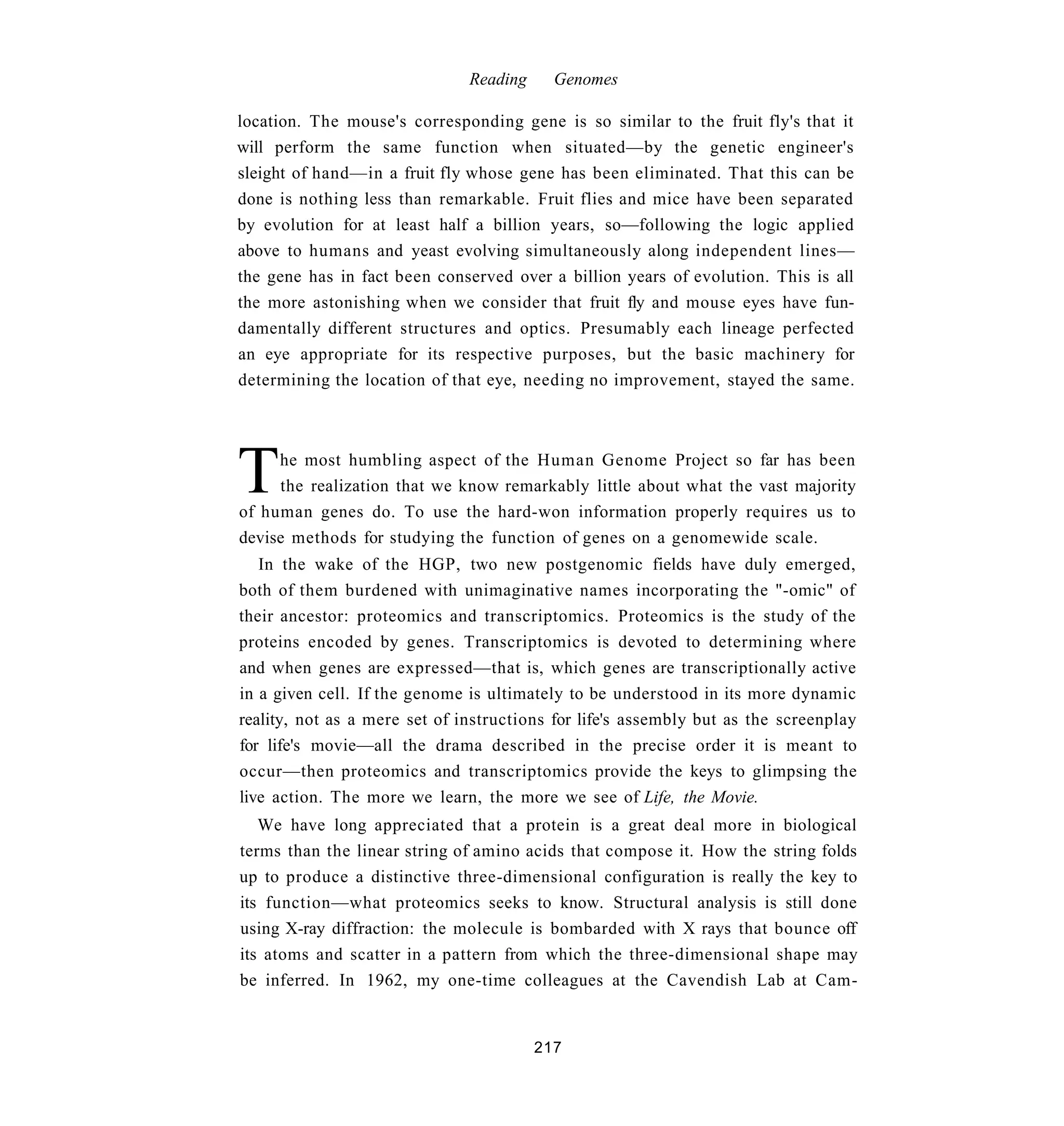 Reading     Genomes

location. The mouse's corresponding gene is so similar to the fruit fly's that it
will perform the same function when situated—by the genetic engineer's
sleight of hand—in a fruit fly whose gene has been eliminated. That this can be
done is nothing less than remarkable. Fruit flies and mice have been separated
by evolution for at least half a billion years, so—following the logic applied
above to humans and yeast evolving simultaneously along independent lines—
the gene has in fact been conserved over a billion years of evolution. This is all
the more astonishing when we consider that fruit fly and mouse eyes have fun-
damentally different structures and optics. Presumably each lineage perfected
an eye appropriate for its respective purposes, but the basic machinery for
determining the location of that eye, needing no improvement, stayed the same.




T    he most humbling aspect of the Human Genome Project so far has been
     the realization that we know remarkably little about what the vast majority
of human genes do. To use the hard-won information properly requires us to
devise methods for studying the function of genes on a genomewide scale.
   In the wake of the HGP, two new postgenomic fields have duly emerged,
both of them burdened with unimaginative names incorporating the "-omic" of
their ancestor: proteomics and transcriptomics. Proteomics is the study of the
proteins encoded by genes. Transcriptomics is devoted to determining where
and when genes are expressed—that is, which genes are transcriptionally active
in a given cell. If the genome is ultimately to be understood in its more dynamic
reality, not as a mere set of instructions for life's assembly but as the screenplay
for life's movie—all the drama described in the precise order it is meant to
occur—then proteomics and transcriptomics provide the keys to glimpsing the
live action. The more we learn, the more we see of Life, the Movie.
   We have long appreciated that a protein is a great deal more in biological
terms than the linear string of amino acids that compose it. How the string folds
up to produce a distinctive three-dimensional configuration is really the key to
its function—what proteomics seeks to know. Structural analysis is still done
using X-ray diffraction: the molecule is bombarded with X rays that bounce off
its atoms and scatter in a pattern from which the three-dimensional shape may
be inferred. In 1962, my one-time colleagues at the Cavendish Lab at Cam-


                                         217
 