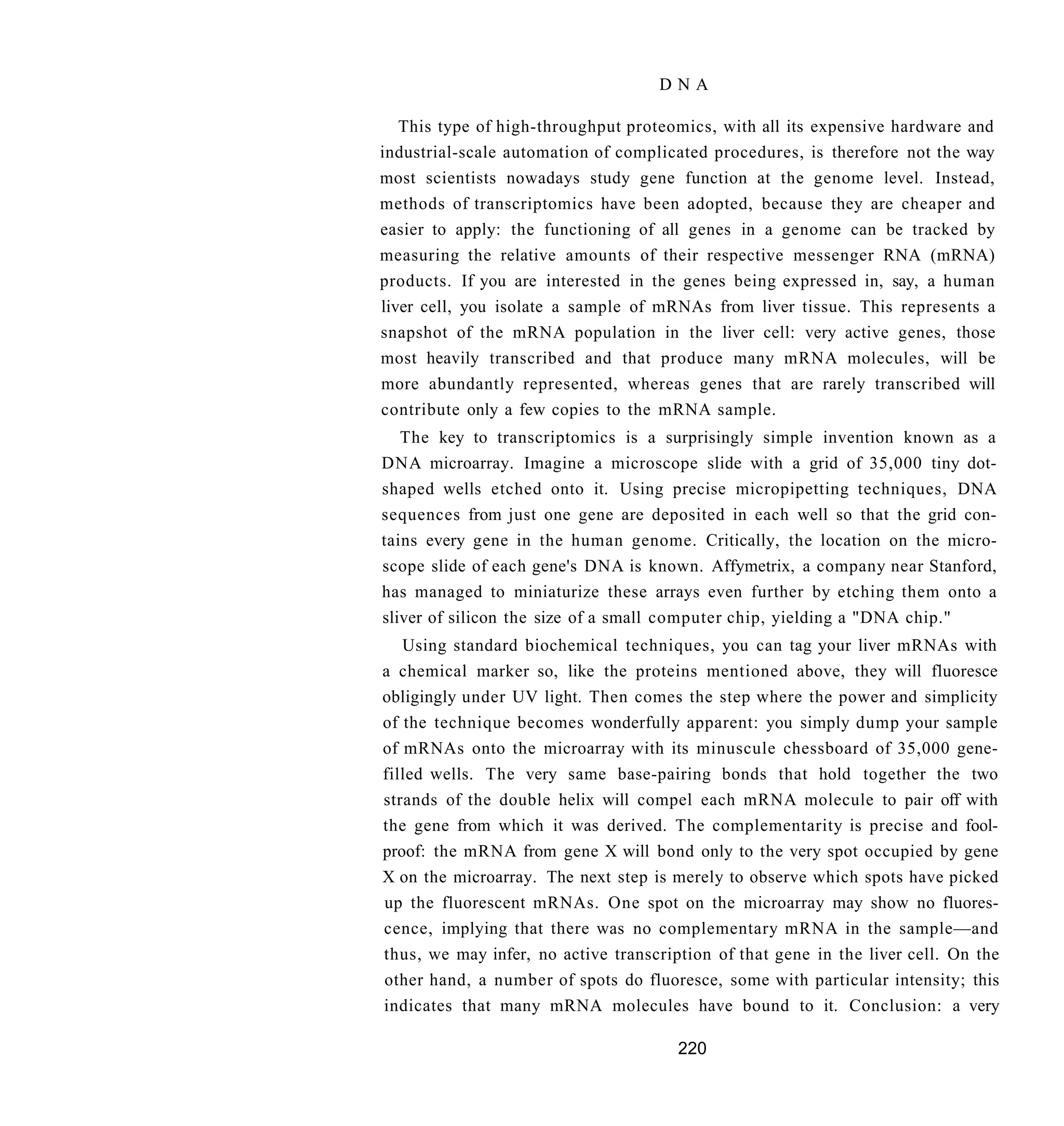 DNA

   This type of high-throughput proteomics, with all its expensive hardware and
industrial-scale automation of complicated procedures, is therefore not the way
most scientists nowadays study gene function at the genome level. Instead,
methods of transcriptomics have been adopted, because they are cheaper and
easier to apply: the functioning of all genes in a genome can be tracked by
measuring the relative amounts of their respective messenger RNA (mRNA)
products. If you are interested in the genes being expressed in, say, a human
liver cell, you isolate a sample of mRNAs from liver tissue. This represents a
snapshot of the mRNA population in the liver cell: very active genes, those
most heavily transcribed and that produce many mRNA molecules, will be
more abundantly represented, whereas genes that are rarely transcribed will
contribute only a few copies to the mRNA sample.
   The key to transcriptomics is a surprisingly simple invention known as a
DNA microarray. Imagine a microscope slide with a grid of 35,000 tiny dot-
shaped wells etched onto it. Using precise micropipetting techniques, DNA
sequences from just one gene are deposited in each well so that the grid con-
tains every gene in the human genome. Critically, the location on the micro-
scope slide of each gene's DNA is known. Affymetrix, a company near Stanford,
has managed to miniaturize these arrays even further by etching them onto a
sliver of silicon the size of a small computer chip, yielding a "DNA chip."
   Using standard biochemical techniques, you can tag your liver mRNAs with
a chemical marker so, like the proteins mentioned above, they will fluoresce
obligingly under UV light. Then comes the step where the power and simplicity
of the technique becomes wonderfully apparent: you simply dump your sample
of mRNAs onto the microarray with its minuscule chessboard of 35,000 gene-
filled wells. The very same base-pairing bonds that hold together the two
strands of the double helix will compel each mRNA molecule to pair off with
the gene from which it was derived. The complementarity is precise and fool-
proof: the mRNA from gene X will bond only to the very spot occupied by gene
X on the microarray. The next step is merely to observe which spots have picked
up the fluorescent mRNAs. One spot on the microarray may show no fluores-
cence, implying that there was no complementary mRNA in the sample—and
thus, we may infer, no active transcription of that gene in the liver cell. On the
other hand, a number of spots do fluoresce, some with particular intensity; this
indicates that many mRNA molecules have bound to it. Conclusion: a very

                                       220
 