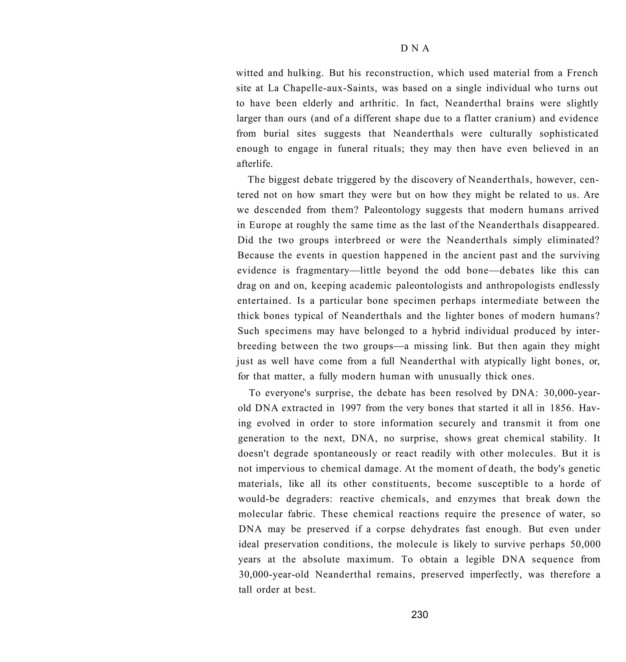 DNA

witted and hulking. But his reconstruction, which used material from a French
site at La Chapelle-aux-Saints, was based on a single individual who turns out
to have been elderly and arthritic. In fact, Neanderthal brains were slightly
larger than ours (and of a different shape due to a flatter cranium) and evidence
from burial sites suggests that Neanderthals were culturally sophisticated
enough to engage in funeral rituals; they may then have even believed in an
afterlife.
   The biggest debate triggered by the discovery of Neanderthals, however, cen-
tered not on how smart they were but on how they might be related to us. Are
we descended from them? Paleontology suggests that modern humans arrived
in Europe at roughly the same time as the last of the Neanderthals disappeared.
Did the two groups interbreed or were the Neanderthals simply eliminated?
Because the events in question happened in the ancient past and the surviving
evidence is fragmentary—little beyond the odd bone—debates like this can
drag on and on, keeping academic paleontologists and anthropologists endlessly
entertained. Is a particular bone specimen perhaps intermediate between the
thick bones typical of Neanderthals and the lighter bones of modern humans?
Such specimens may have belonged to a hybrid individual produced by inter-
breeding between the two groups—a missing link. But then again they might
just as well have come from a full Neanderthal with atypically light bones, or,
for that matter, a fully modern human with unusually thick ones.
   To everyone's surprise, the debate has been resolved by DNA: 30,000-year-
old DNA extracted in 1997 from the very bones that started it all in 1856. Hav-
ing evolved in order to store information securely and transmit it from one
generation to the next, DNA, no surprise, shows great chemical stability. It
doesn't degrade spontaneously or react readily with other molecules. But it is
not impervious to chemical damage. At the moment of death, the body's genetic
materials, like all its other constituents, become susceptible to a horde of
would-be degraders: reactive chemicals, and enzymes that break down the
molecular fabric. These chemical reactions require the presence of water, so
DNA may be preserved if a corpse dehydrates fast enough. But even under
ideal preservation conditions, the molecule is likely to survive perhaps 50,000
years at the absolute maximum. To obtain a legible DNA sequence from
30,000-year-old Neanderthal remains, preserved imperfectly, was therefore a
tall order at best.

                                       230
 