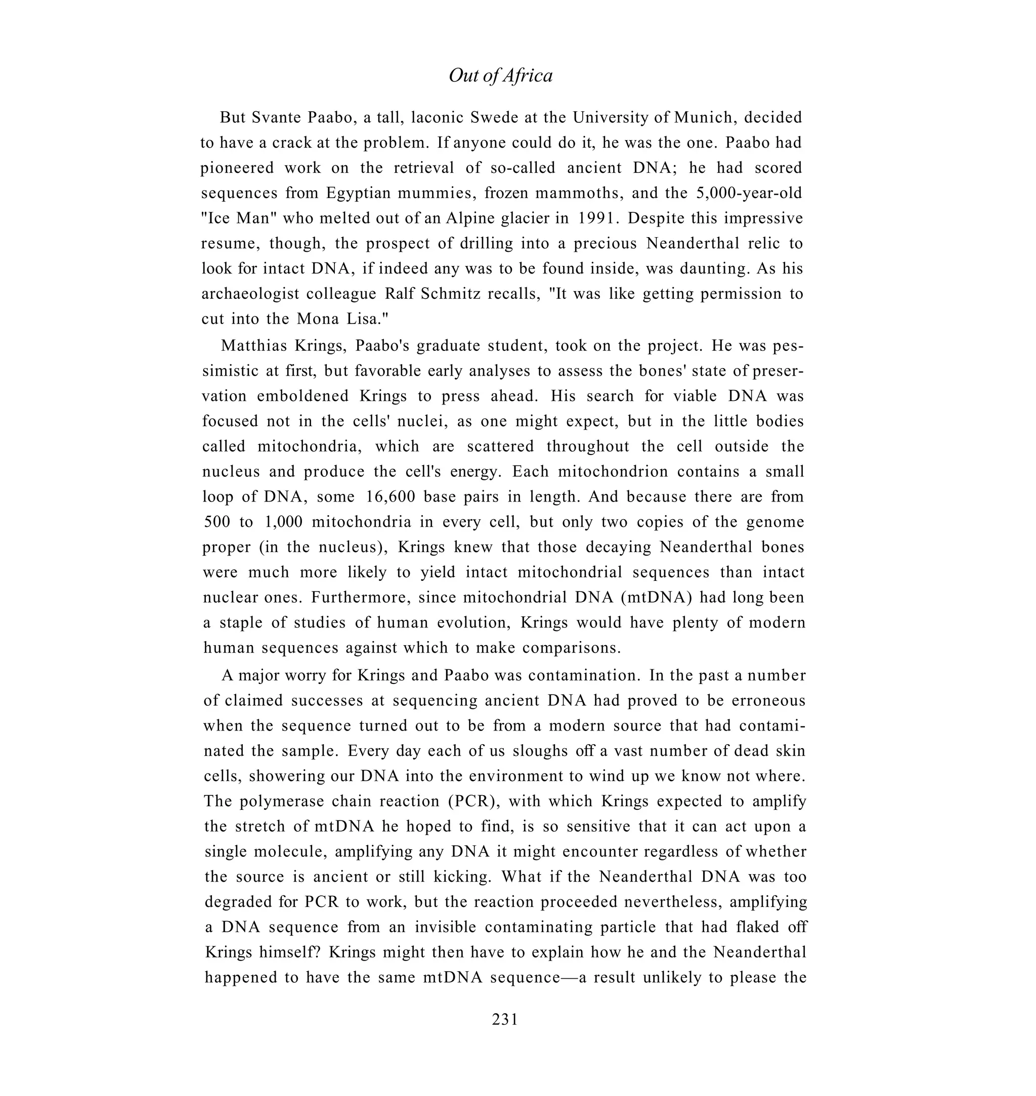 Out of Africa

   But Svante Paabo, a tall, laconic Swede at the University of Munich, decided
to have a crack at the problem. If anyone could do it, he was the one. Paabo had
pioneered work on the retrieval of so-called ancient DNA; he had scored
sequences from Egyptian mummies, frozen mammoths, and the 5,000-year-old
"Ice Man" who melted out of an Alpine glacier in 1991. Despite this impressive
resume, though, the prospect of drilling into a precious Neanderthal relic to
look for intact DNA, if indeed any was to be found inside, was daunting. As his
archaeologist colleague Ralf Schmitz recalls, "It was like getting permission to
cut into the Mona Lisa."
   Matthias Krings, Paabo's graduate student, took on the project. He was pes-
simistic at first, but favorable early analyses to assess the bones' state of preser-
vation emboldened Krings to press ahead. His search for viable DNA was
focused not in the cells' nuclei, as one might expect, but in the little bodies
called mitochondria, which are scattered throughout the cell outside the
nucleus and produce the cell's energy. Each mitochondrion contains a small
loop of DNA, some 16,600 base pairs in length. And because there are from
500 to 1,000 mitochondria in every cell, but only two copies of the genome
proper (in the nucleus), Krings knew that those decaying Neanderthal bones
were much more likely to yield intact mitochondrial sequences than intact
nuclear ones. Furthermore, since mitochondrial DNA (mtDNA) had long been
a staple of studies of human evolution, Krings would have plenty of modern
human sequences against which to make comparisons.
   A major worry for Krings and Paabo was contamination. In the past a number
of claimed successes at sequencing ancient DNA had proved to be erroneous
when the sequence turned out to be from a modern source that had contami-
nated the sample. Every day each of us sloughs off a vast number of dead skin
cells, showering our DNA into the environment to wind up we know not where.
The polymerase chain reaction (PCR), with which Krings expected to amplify
the stretch of mtDNA he hoped to find, is so sensitive that it can act upon a
single molecule, amplifying any DNA it might encounter regardless of whether
the source is ancient or still kicking. What if the Neanderthal DNA was too
degraded for PCR to work, but the reaction proceeded nevertheless, amplifying
a DNA sequence from an invisible contaminating particle that had flaked off
Krings himself? Krings might then have to explain how he and the Neanderthal
happened to have the same mtDNA sequence—a result unlikely to please the

                                        231
 