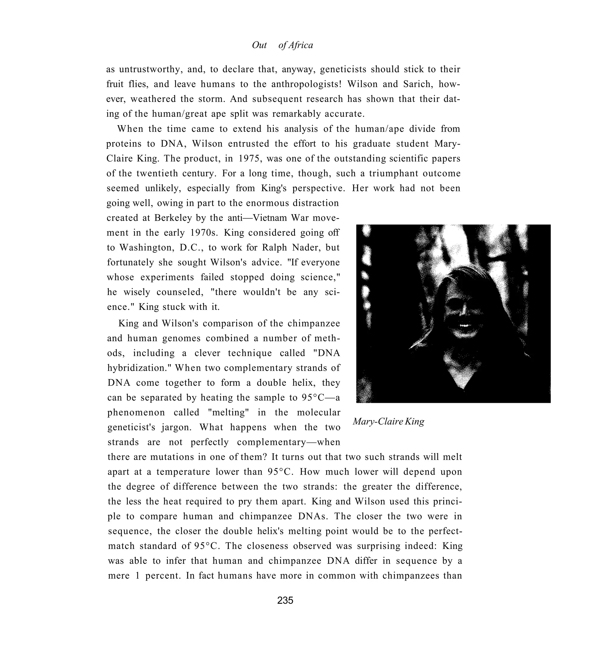Out   of Africa

as untrustworthy, and, to declare that, anyway, geneticists should stick to their
fruit flies, and leave humans to the anthropologists! Wilson and Sarich, how-
ever, weathered the storm. And subsequent research has shown that their dat-
ing of the human/great ape split was remarkably accurate.
   When the time came to extend his analysis of the human/ape divide from
proteins to DNA, Wilson entrusted the effort to his graduate student Mary-
Claire King. The product, in 1975, was one of the outstanding scientific papers
of the twentieth century. For a long time, though, such a triumphant outcome
seemed unlikely, especially from King's perspective. Her work had not been
going well, owing in part to the enormous distraction
created at Berkeley by the anti—Vietnam War move-
ment in the early 1970s. King considered going off
to Washington, D.C., to work for Ralph Nader, but
fortunately she sought Wilson's advice. "If everyone
whose experiments failed stopped doing science,"
he wisely counseled, "there wouldn't be any sci-
ence." King stuck with it.
   King and Wilson's comparison of the chimpanzee
and human genomes combined a number of meth-
ods, including a clever technique called "DNA
hybridization." When two complementary strands of
DNA come together to form a double helix, they
can be separated by heating the sample to 95°C—a
phenomenon called "melting" in the molecular
                                                        Mary-Claire King
geneticist's jargon. What happens when the two
strands are not perfectly complementary—when
there are mutations in one of them? It turns out that two such strands will melt
apart at a temperature lower than 95°C. How much lower will depend upon
the degree of difference between the two strands: the greater the difference,
the less the heat required to pry them apart. King and Wilson used this princi-
ple to compare human and chimpanzee DNAs. The closer the two were in
sequence, the closer the double helix's melting point would be to the perfect-
match standard of 95°C. The closeness observed was surprising indeed: King
was able to infer that human and chimpanzee DNA differ in sequence by a
mere 1 percent. In fact humans have more in common with chimpanzees than

                                       235
 
