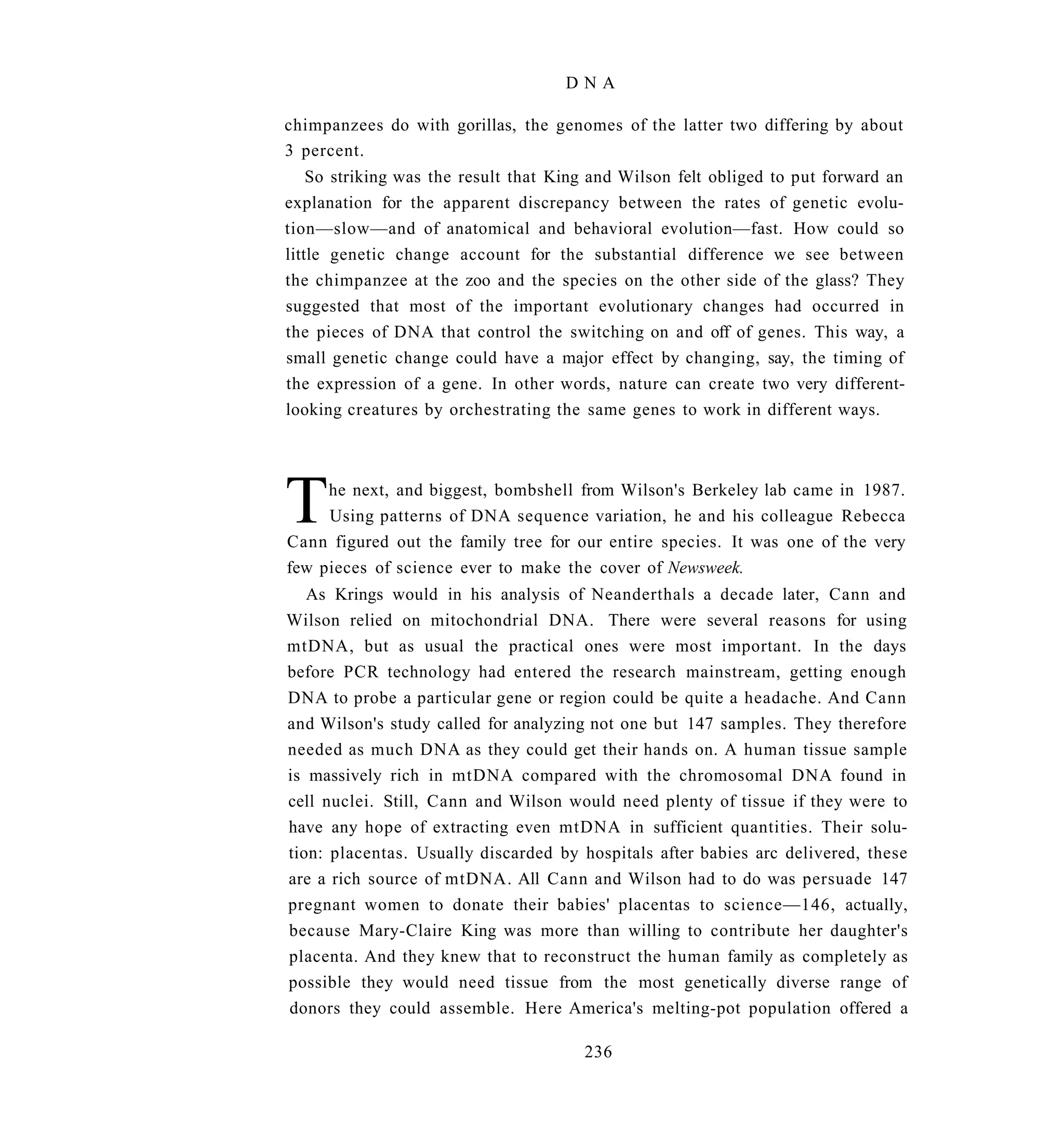DNA

chimpanzees do with gorillas, the genomes of the latter two differing by about
3 percent.
    So striking was the result that King and Wilson felt obliged to put forward an
explanation for the apparent discrepancy between the rates of genetic evolu-
tion—slow—and of anatomical and behavioral evolution—fast. How could so
little genetic change account for the substantial difference we see between
the chimpanzee at the zoo and the species on the other side of the glass? They
suggested that most of the important evolutionary changes had occurred in
the pieces of DNA that control the switching on and off of genes. This way, a
small genetic change could have a major effect by changing, say, the timing of
the expression of a gene. In other words, nature can create two very different-
looking creatures by orchestrating the same genes to work in different ways.




T    he next, and biggest, bombshell from Wilson's Berkeley lab came in 1987.
     Using patterns of DNA sequence variation, he and his colleague Rebecca
Cann figured out the family tree for our entire species. It was one of the very
few pieces of science ever to make the cover of Newsweek.
   As Krings would in his analysis of Neanderthals a decade later, Cann and
Wilson relied on mitochondrial DNA. There were several reasons for using
mtDNA, but as usual the practical ones were most important. In the days
before PCR technology had entered the research mainstream, getting enough
DNA to probe a particular gene or region could be quite a headache. And Cann
and Wilson's study called for analyzing not one but 147 samples. They therefore
needed as much DNA as they could get their hands on. A human tissue sample
is massively rich in mtDNA compared with the chromosomal DNA found in
cell nuclei. Still, Cann and Wilson would need plenty of tissue if they were to
have any hope of extracting even mtDNA in sufficient quantities. Their solu-
tion: placentas. Usually discarded by hospitals after babies arc delivered, these
are a rich source of mtDNA. All Cann and Wilson had to do was persuade 147
pregnant women to donate their babies' placentas to science—146, actually,
because Mary-Claire King was more than willing to contribute her daughter's
placenta. And they knew that to reconstruct the human family as completely as
possible they would need tissue from the most genetically diverse range of
donors they could assemble. Here America's melting-pot population offered a

                                       236
 
