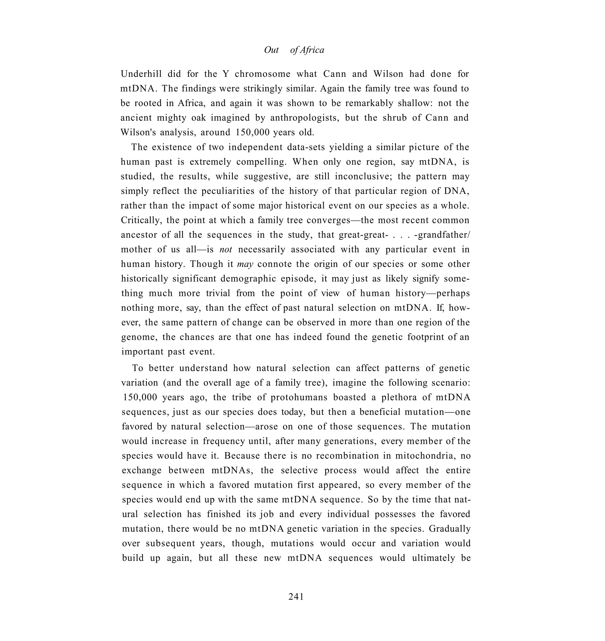 Out   of Africa

Underhill did for the Y chromosome what Cann and Wilson had done for
mtDNA. The findings were strikingly similar. Again the family tree was found to
be rooted in Africa, and again it was shown to be remarkably shallow: not the
ancient mighty oak imagined by anthropologists, but the shrub of Cann and
Wilson's analysis, around 150,000 years old.
   The existence of two independent data-sets yielding a similar picture of the
human past is extremely compelling. When only one region, say mtDNA, is
studied, the results, while suggestive, are still inconclusive; the pattern may
simply reflect the peculiarities of the history of that particular region of DNA,
rather than the impact of some major historical event on our species as a whole.
Critically, the point at which a family tree converges—the most recent common
ancestor of all the sequences in the study, that great-great- . . . -grandfather/
mother of us all—is not necessarily associated with any particular event in
human history. Though it may connote the origin of our species or some other
historically significant demographic episode, it may just as likely signify some-
thing much more trivial from the point of view of human history—perhaps
nothing more, say, than the effect of past natural selection on mtDNA. If, how-
ever, the same pattern of change can be observed in more than one region of the
genome, the chances are that one has indeed found the genetic footprint of an
important past event.
  To better understand how natural selection can affect patterns of genetic
variation (and the overall age of a family tree), imagine the following scenario:
150,000 years ago, the tribe of protohumans boasted a plethora of mtDNA
sequences, just as our species does today, but then a beneficial mutation—one
favored by natural selection—arose on one of those sequences. The mutation
would increase in frequency until, after many generations, every member of the
species would have it. Because there is no recombination in mitochondria, no
exchange between mtDNAs, the selective process would affect the entire
sequence in which a favored mutation first appeared, so every member of the
species would end up with the same mtDNA sequence. So by the time that nat-
ural selection has finished its job and every individual possesses the favored
mutation, there would be no mtDNA genetic variation in the species. Gradually
over subsequent years, though, mutations would occur and variation would
build up again, but all these new mtDNA sequences would ultimately be


                                       241
 