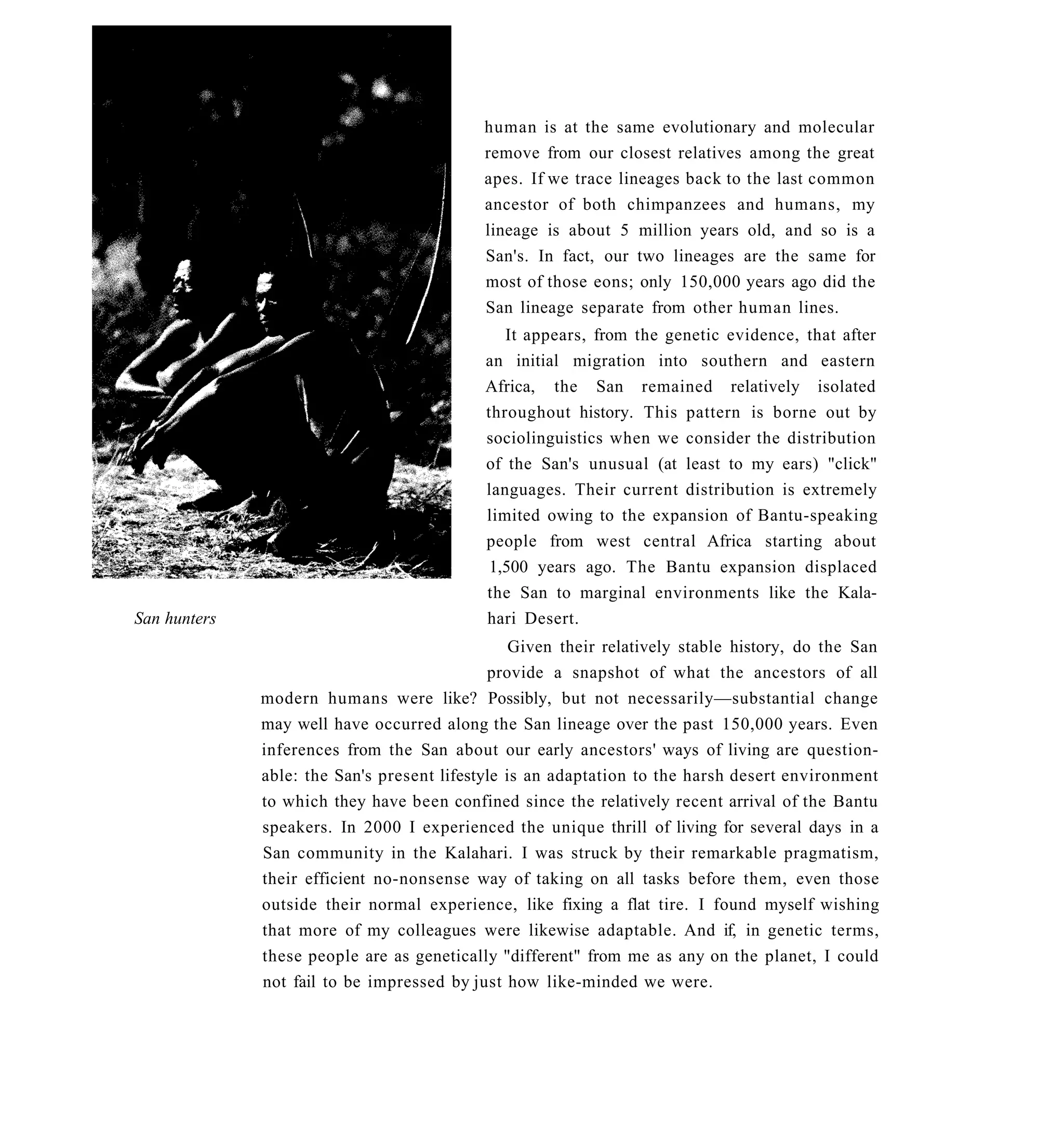 human is at the same evolutionary and molecular
                                            remove from our closest relatives among the great
                                            apes. If we trace lineages back to the last common
                                            ancestor of both chimpanzees and humans, my
                                            lineage is about 5 million years old, and so is a
                                            San's. In fact, our two lineages are the same for
                                            most of those eons; only 150,000 years ago did the
                                            San lineage separate from other human lines.
                                               It appears, from the genetic evidence, that after
                                            an initial migration into southern and eastern
                                            Africa, the San remained relatively isolated
                                            throughout history. This pattern is borne out by
                                            sociolinguistics when we consider the distribution
                                            of the San's unusual (at least to my ears) "click"
                                            languages. Their current distribution is extremely
                                            limited owing to the expansion of Bantu-speaking
                                            people from west central Africa starting about
                                             1,500 years ago. The Bantu expansion displaced
                                            the San to marginal environments like the Kala-
San hunters                                 hari Desert.
                                                 Given their relatively stable history, do the San
                                             provide a snapshot of what the ancestors of all
              modern humans were like? Possibly, but not necessarily—substantial change
              may well have occurred along the San lineage over the past 150,000 years. Even
              inferences from the San about our early ancestors' ways of living are question-
              able: the San's present lifestyle is an adaptation to the harsh desert environment
              to which they have been confined since the relatively recent arrival of the Bantu
              speakers. In 2000 I experienced the unique thrill of living for several days in a
              San community in the Kalahari. I was struck by their remarkable pragmatism,
              their efficient no-nonsense way of taking on all tasks before them, even those
              outside their normal experience, like fixing a flat tire. I found myself wishing
              that more of my colleagues were likewise adaptable. And if, in genetic terms,
              these people are as genetically "different" from me as any on the planet, I could
              not fail to be impressed by just how like-minded we were.
 