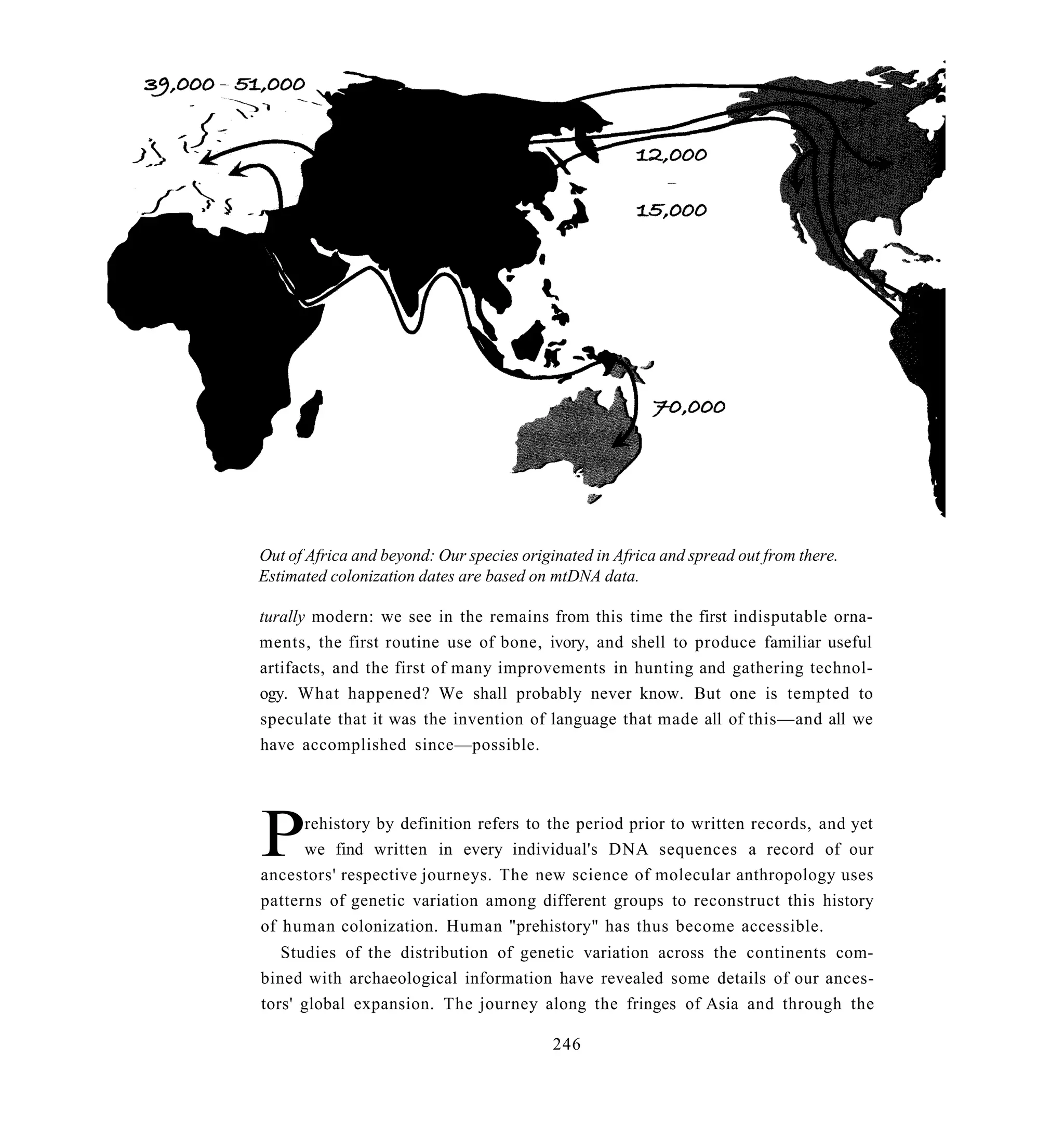 Out of Africa and beyond: Our species originated in Africa and spread out from there.
Estimated colonization dates are based on mtDNA data.

turally modern: we see in the remains from this time the first indisputable orna-
ments, the first routine use of bone, ivory, and shell to produce familiar useful
artifacts, and the first of many improvements in hunting and gathering technol-
ogy. What happened? We shall probably never know. But one is tempted to
speculate that it was the invention of language that made all of this—and all we
have accomplished since—possible.




P     rehistory by definition refers to the period prior to written records, and yet
      we find written in every individual's DNA sequences a record of our
ancestors' respective journeys. The new science of molecular anthropology uses
patterns of genetic variation among different groups to reconstruct this history
of human colonization. Human "prehistory" has thus become accessible.
   Studies of the distribution of genetic variation across the continents com-
bined with archaeological information have revealed some details of our ances-
tors' global expansion. The journey along the fringes of Asia and through the

                                           246
 