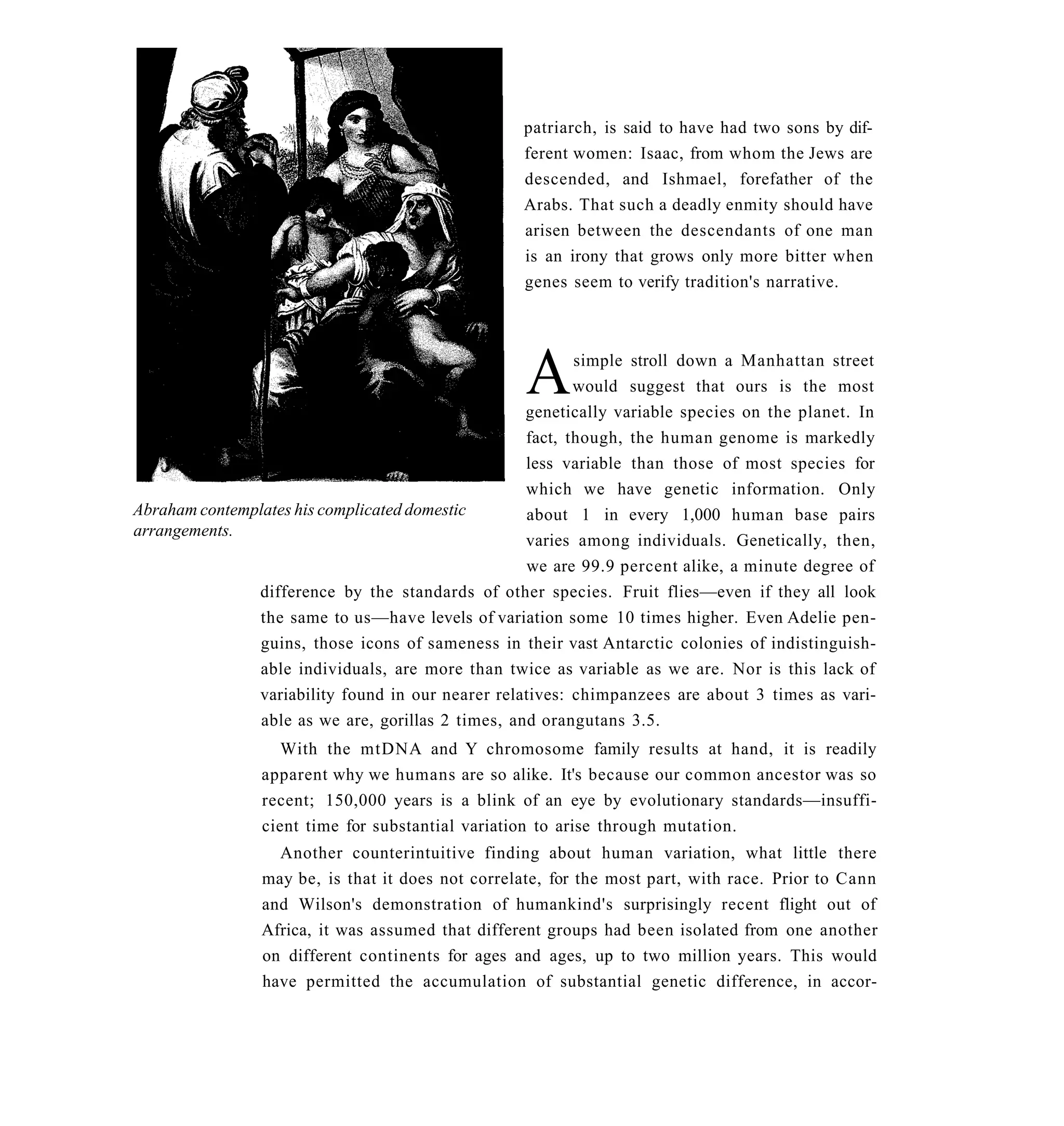 patriarch, is said to have had two sons by dif-
                                                   ferent women: Isaac, from whom the Jews are
                                                   descended, and Ishmael, forefather of the
                                                   Arabs. That such a deadly enmity should have
                                                   arisen between the descendants of one man
                                                   is an irony that grows only more bitter when
                                                   genes seem to verify tradition's narrative.




                                                   A       simple stroll down a Manhattan street
                                                           would suggest that ours is the most
                                                    genetically variable species on the planet. In
                                                    fact, though, the human genome is markedly
                                                    less variable than those of most species for
                                                    which we have genetic information. Only
Abraham contemplates his complicated domestic       about 1 in every 1,000 human base pairs
arrangements.
                                                    varies among individuals. Genetically, then,
                                                    we are 99.9 percent alike, a minute degree of
               difference by the standards of other species. Fruit flies—even if they all look
               the same to us—have levels of variation some 10 times higher. Even Adelie pen-
               guins, those icons of sameness in their vast Antarctic colonies of indistinguish-
               able individuals, are more than twice as variable as we are. Nor is this lack of
               variability found in our nearer relatives: chimpanzees are about 3 times as vari-
                able as we are, gorillas 2 times, and orangutans 3.5.
                   With the mtDNA and Y chromosome family results at hand, it is readily
                apparent why we humans are so alike. It's because our common ancestor was so
                recent; 150,000 years is a blink of an eye by evolutionary standards—insuffi-
                cient time for substantial variation to arise through mutation.
                  Another counterintuitive finding about human variation, what little there
                may be, is that it does not correlate, for the most part, with race. Prior to Cann
                and Wilson's demonstration of humankind's surprisingly recent flight out of
                Africa, it was assumed that different groups had been isolated from one another
                on different continents for ages and ages, up to two million years. This would
                have permitted the accumulation of substantial genetic difference, in accor-
 
